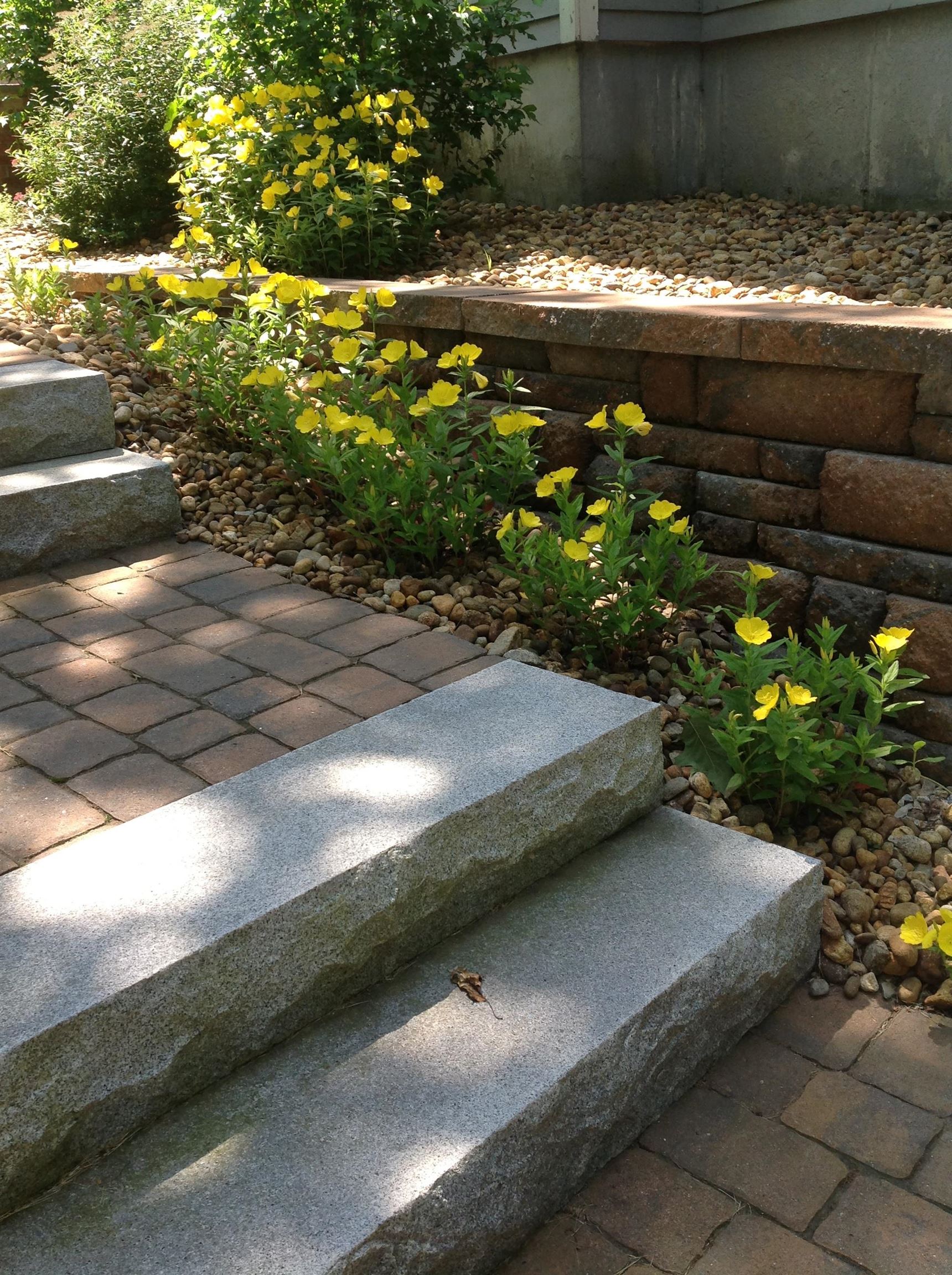33 Oriole Road Property Photo 46