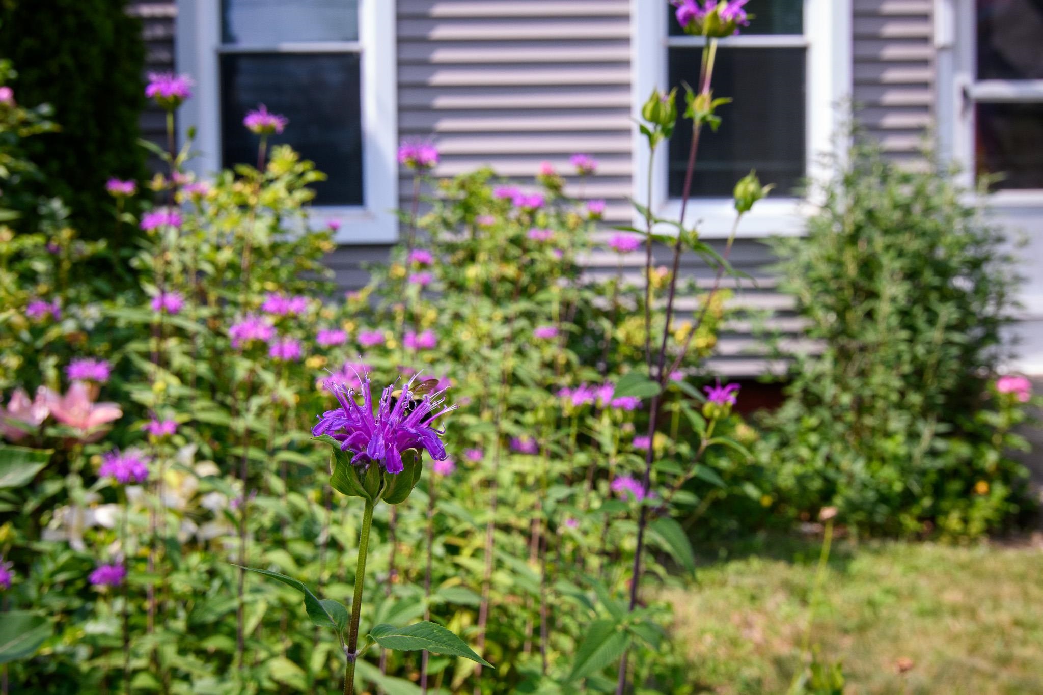 85 Highland Avenue Property Photo 3