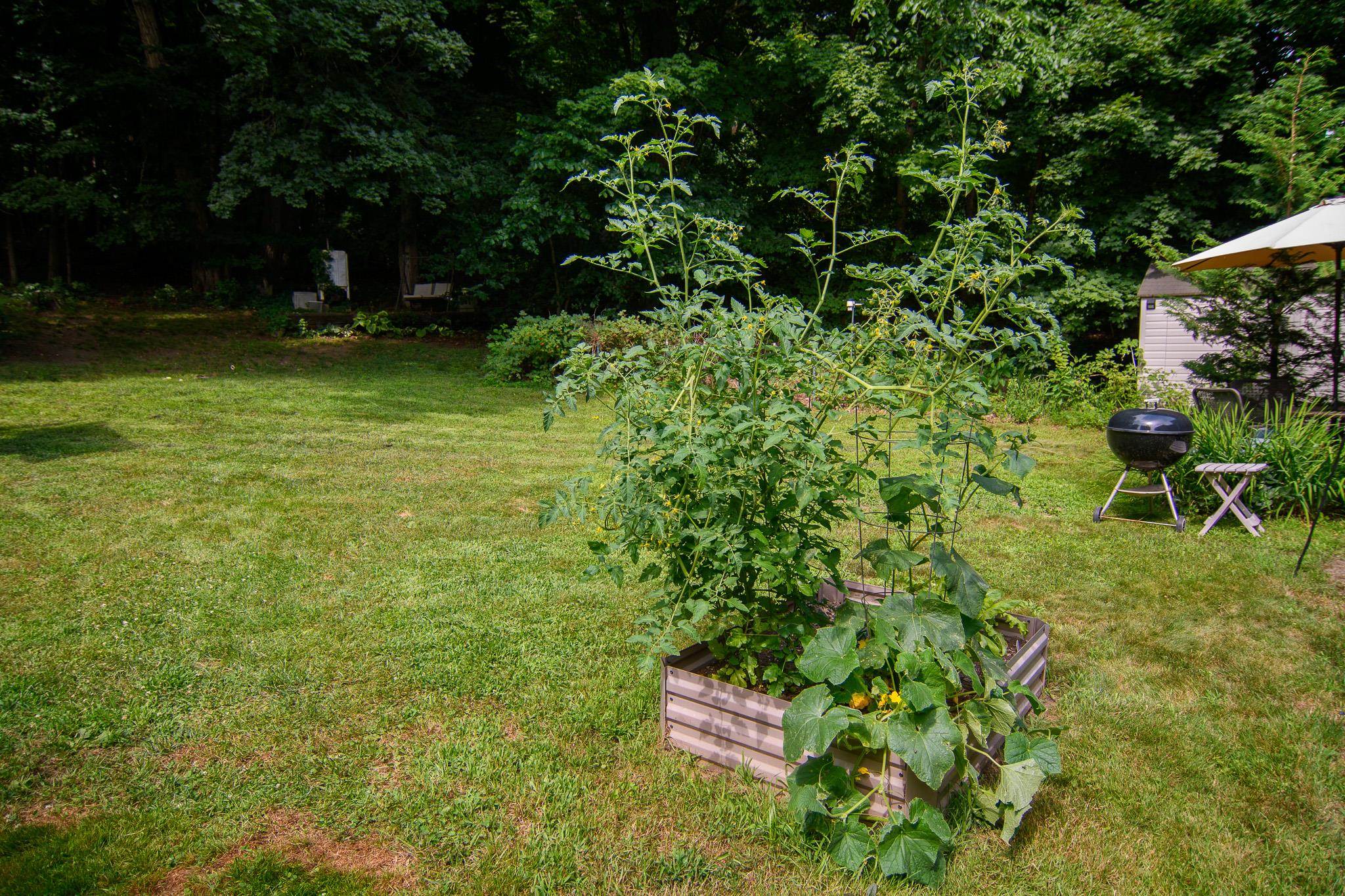 85 Highland Avenue Property Photo 21