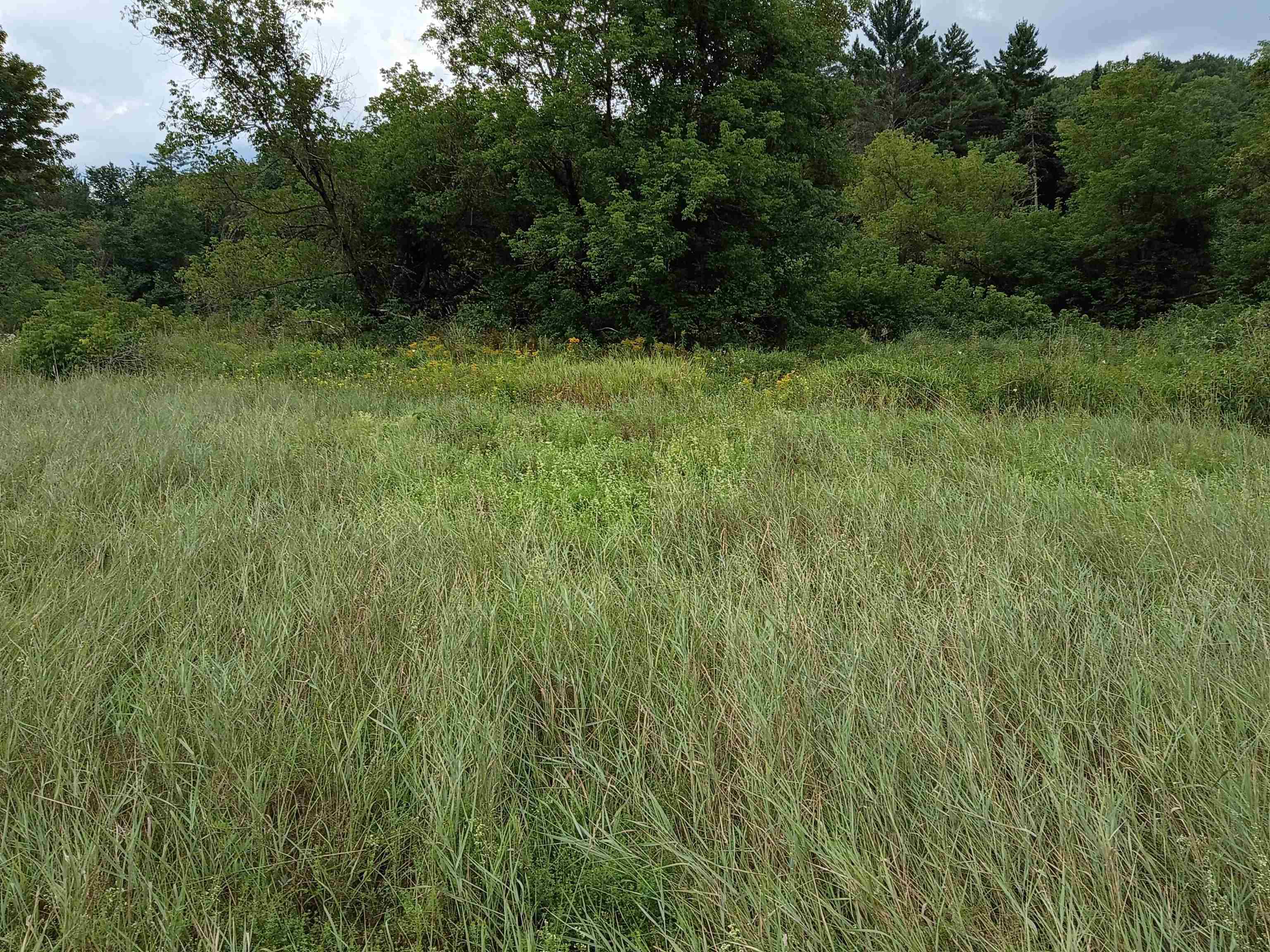 0 Route 15 Property Photo 4