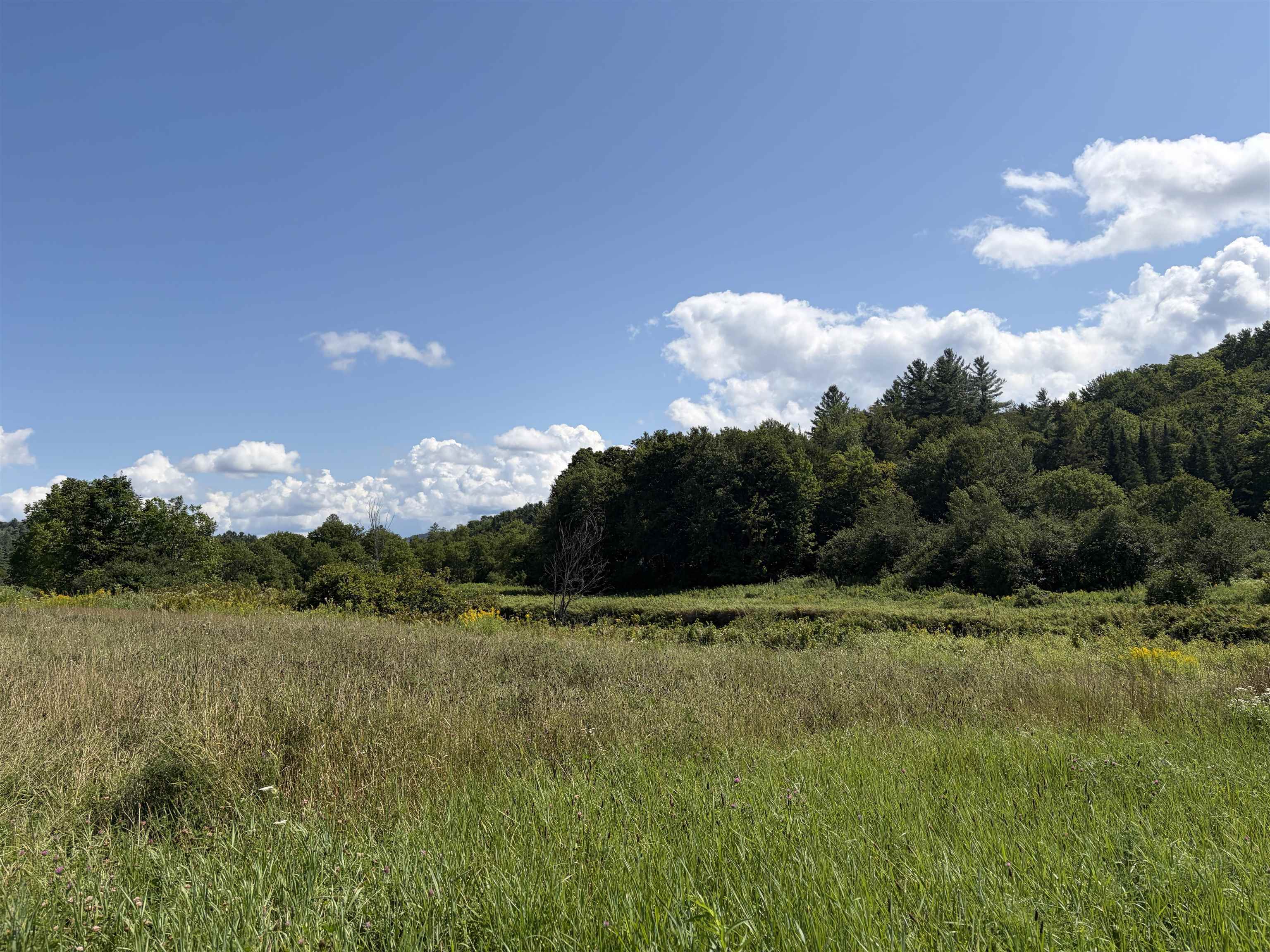 0 Route 15 Property Photo 15