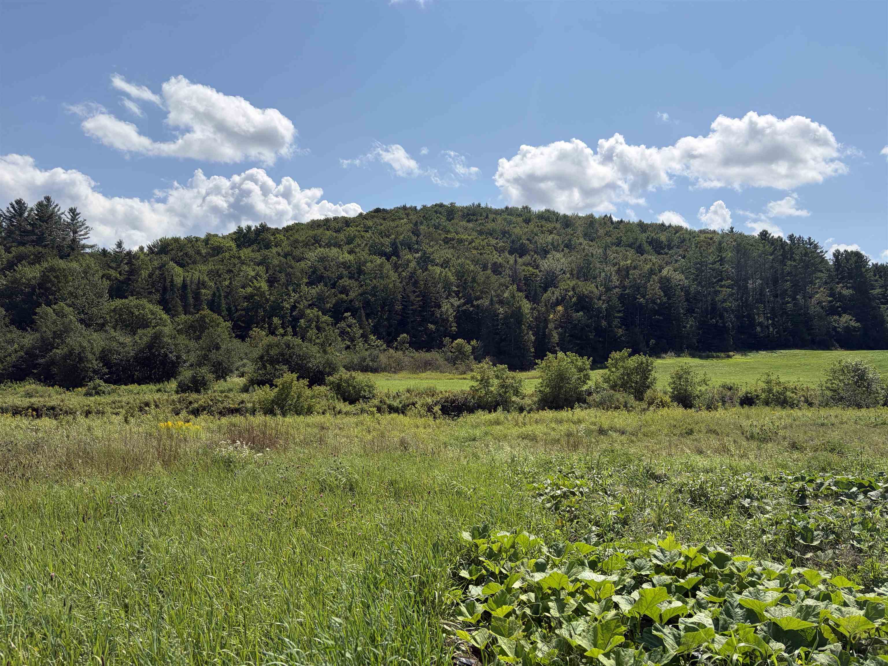 0 Route 15 Property Photo 17