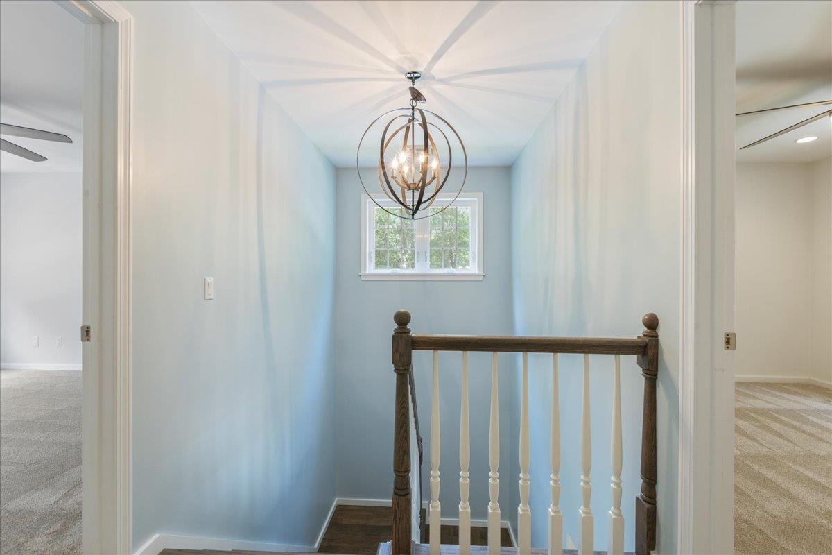 42 Shannon Road Property Photo 15