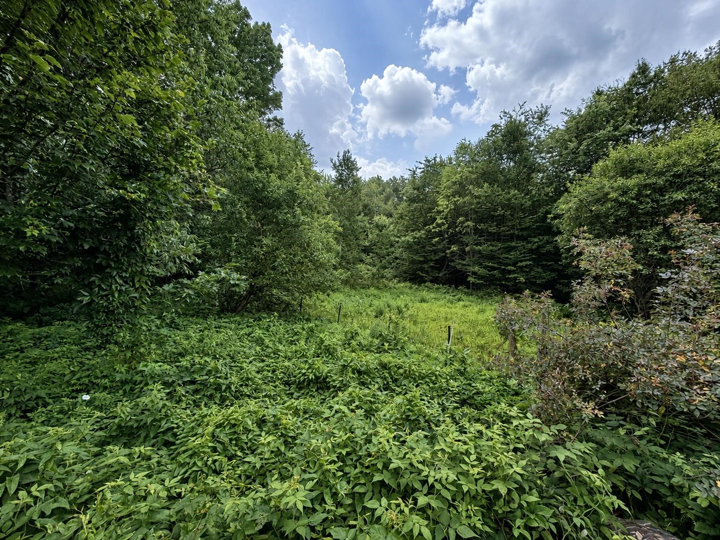 1891 Coles Pond Road Property Photo 43