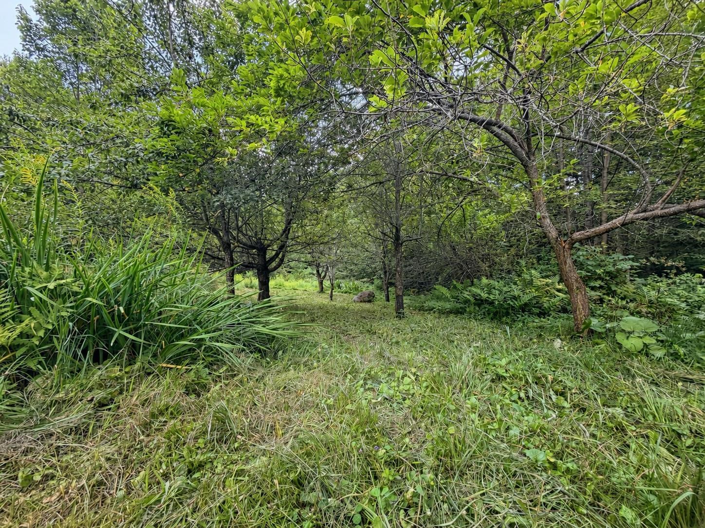 1891 Coles Pond Road Property Photo 48