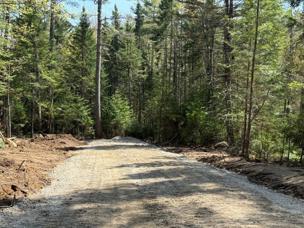 Lot 4 Nh Route 4a Property Photo 1