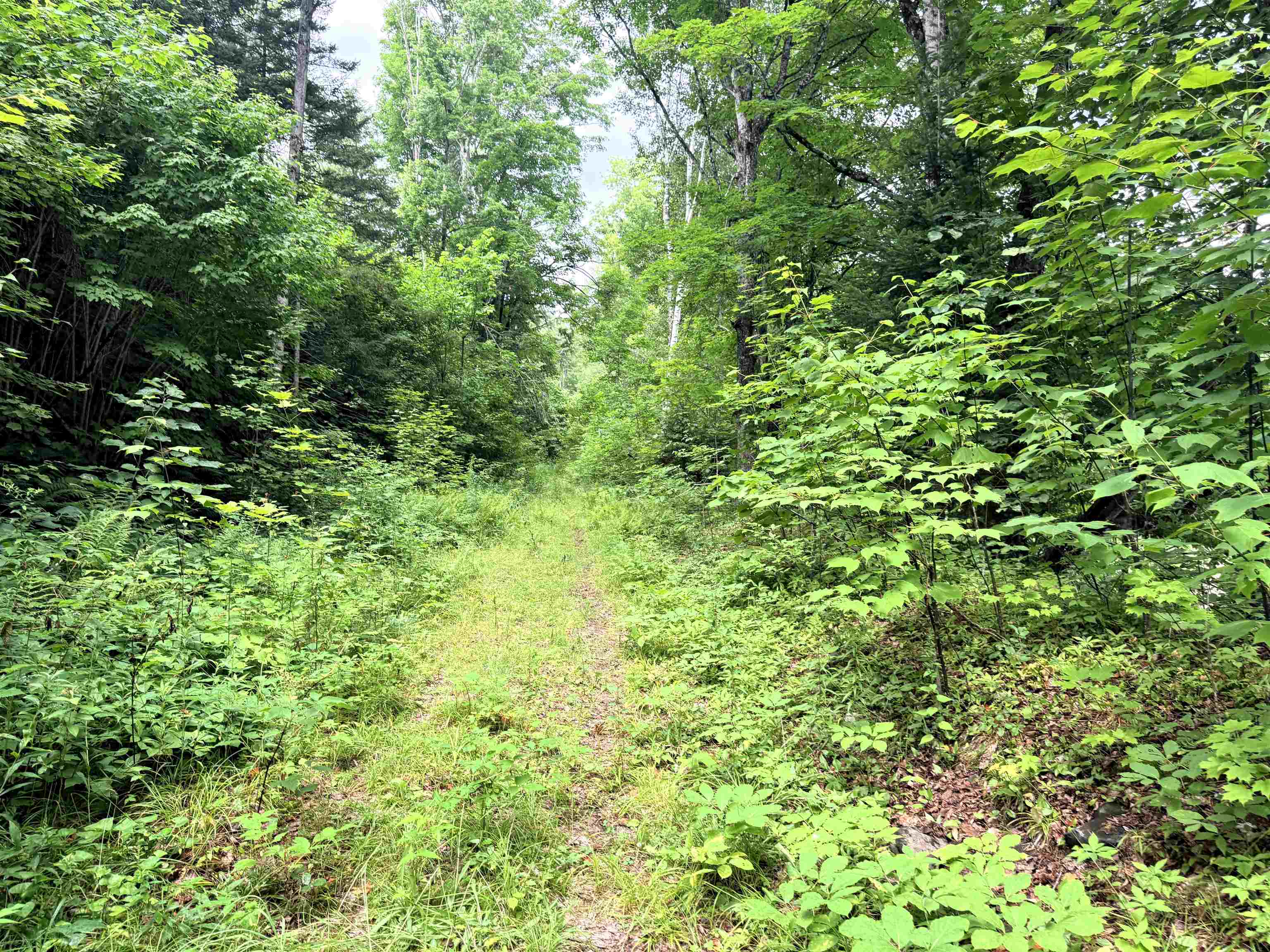 00 Route 102 Property Photo 30