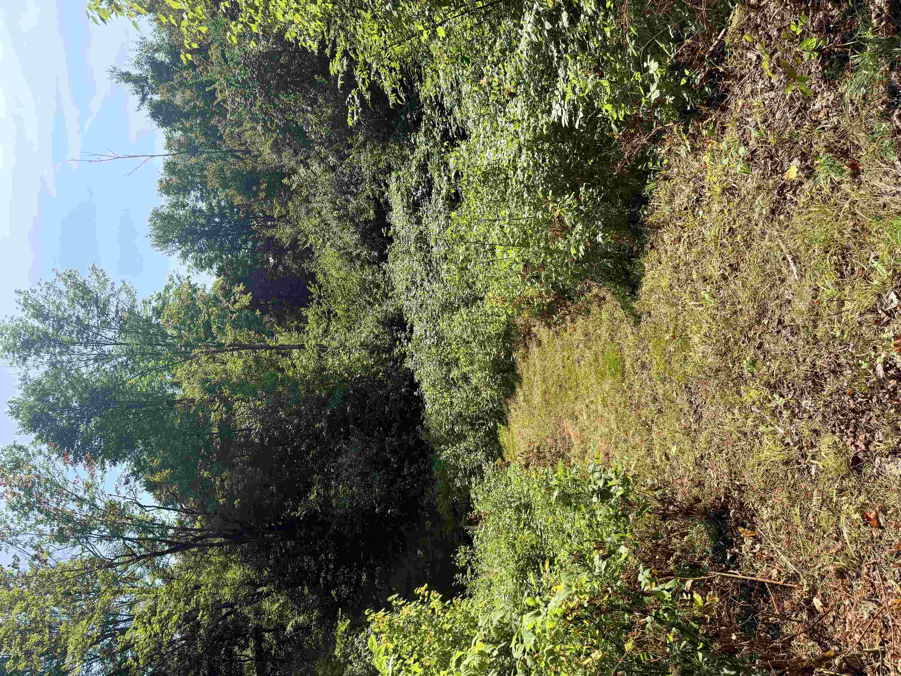 00 Route 102 Property Photo 31