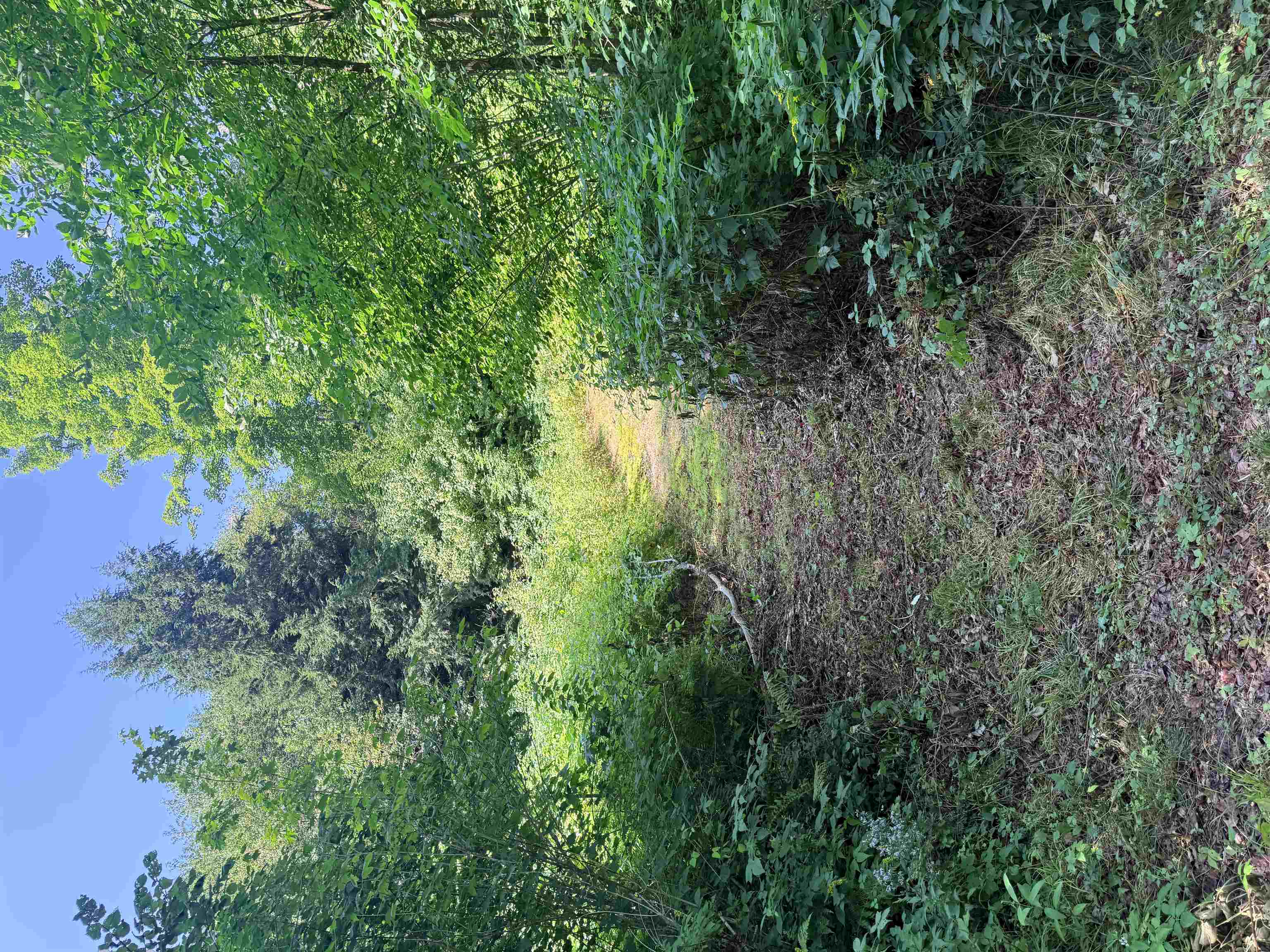 00 Route 102 Property Photo 32
