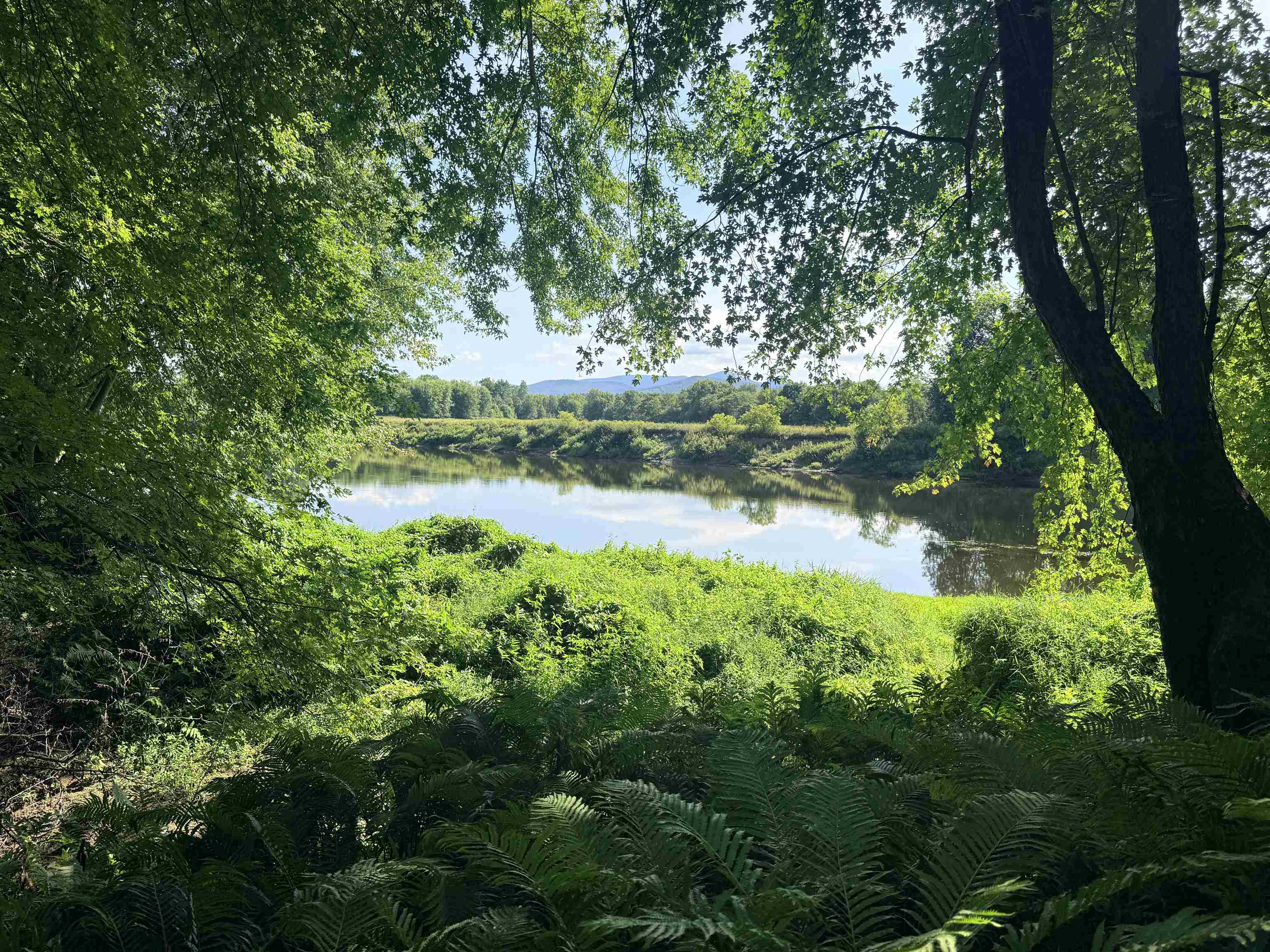 00 Route 102 Property Photo 34