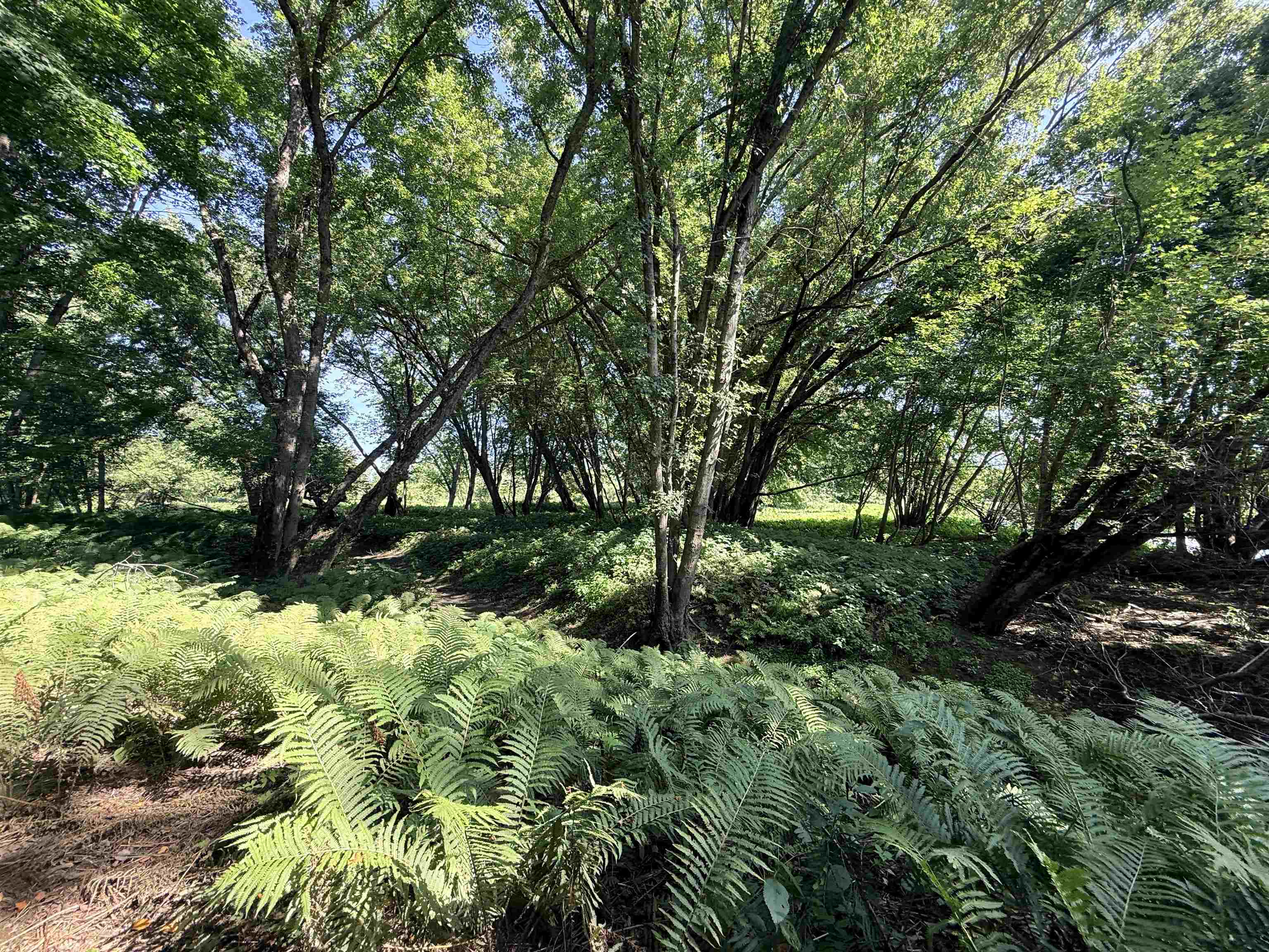 00 Route 102 Property Photo 36