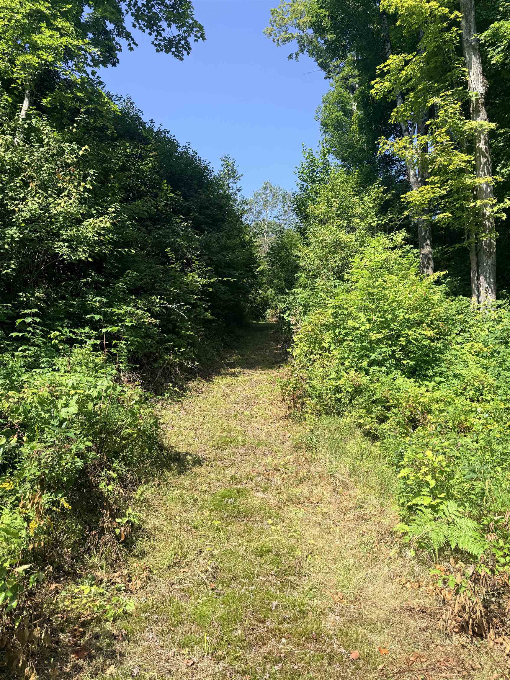 00 Route 102 Property Photo 37