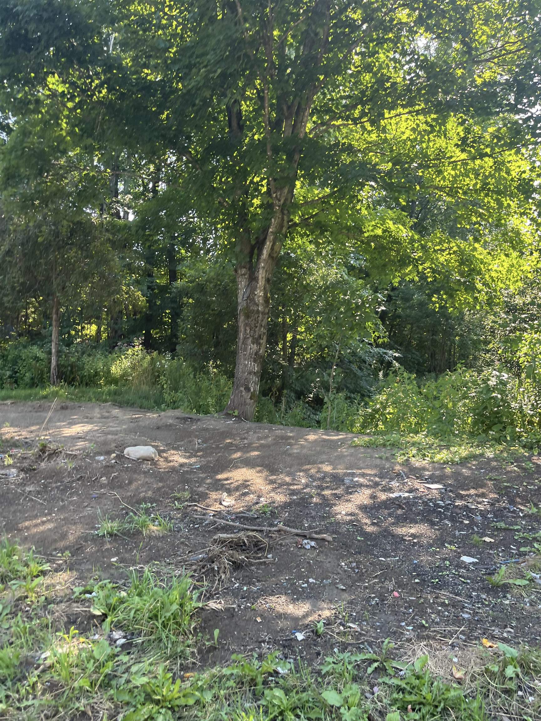 2612 Glover Street Property Photo 7