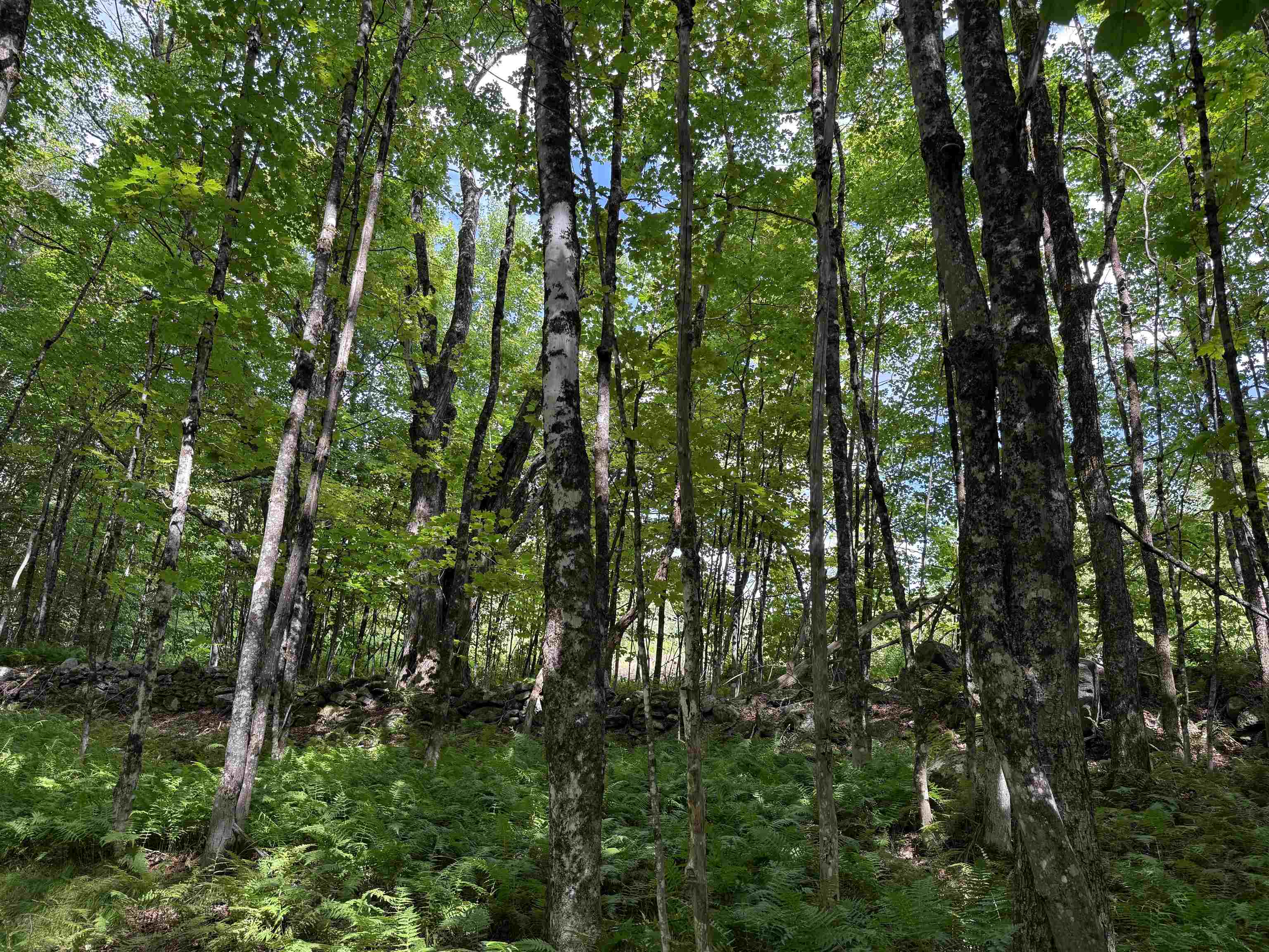 1103 North Road Property Photo 3