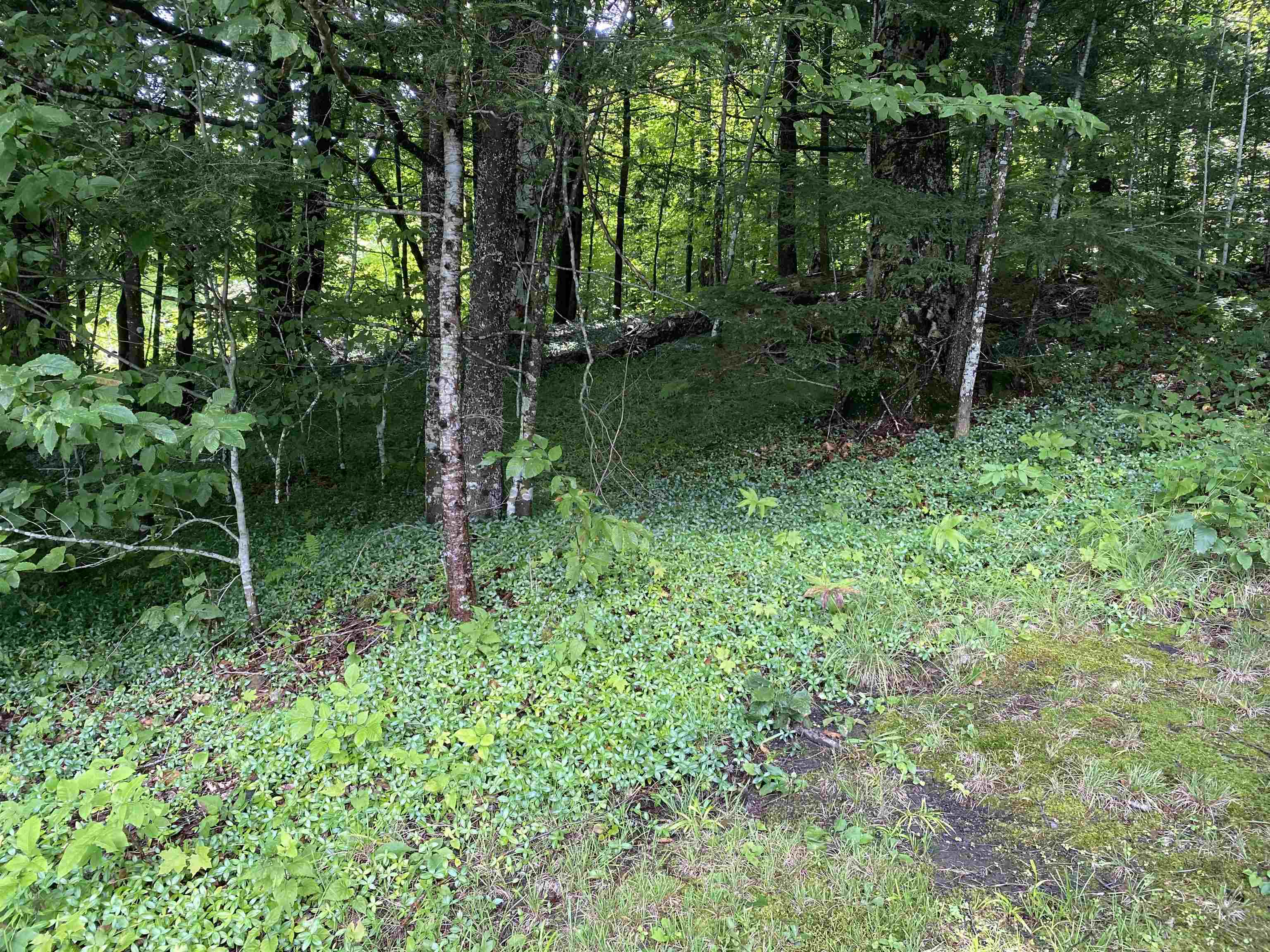 160 Grove Road Property Photo 25