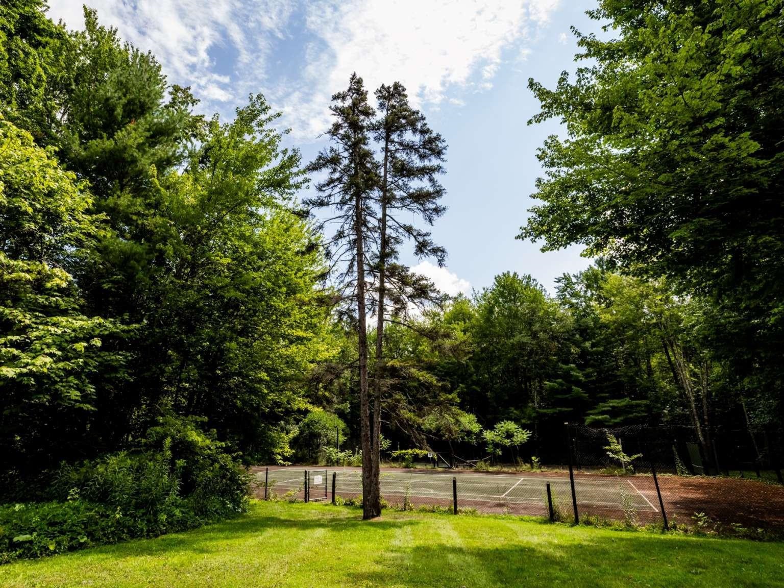 31 Christmas Tree Road Property Photo 33