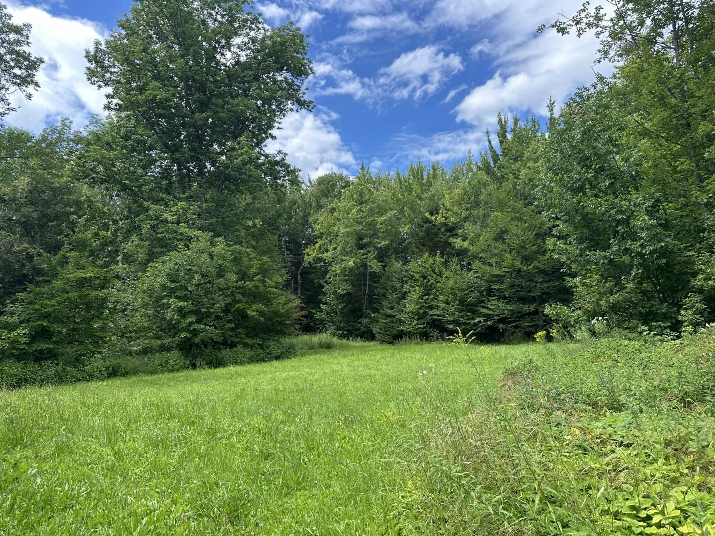 221 Landgrove Road Property Photo 6