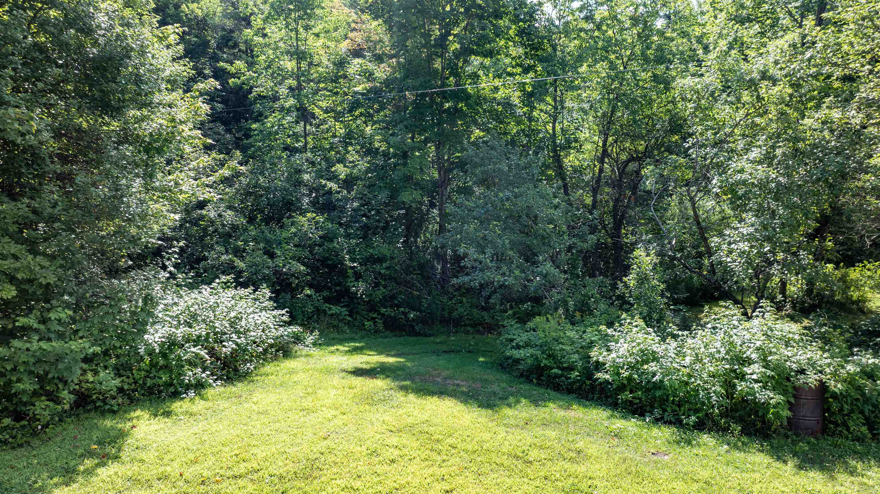 142 Hines Place Trail Property Photo 23