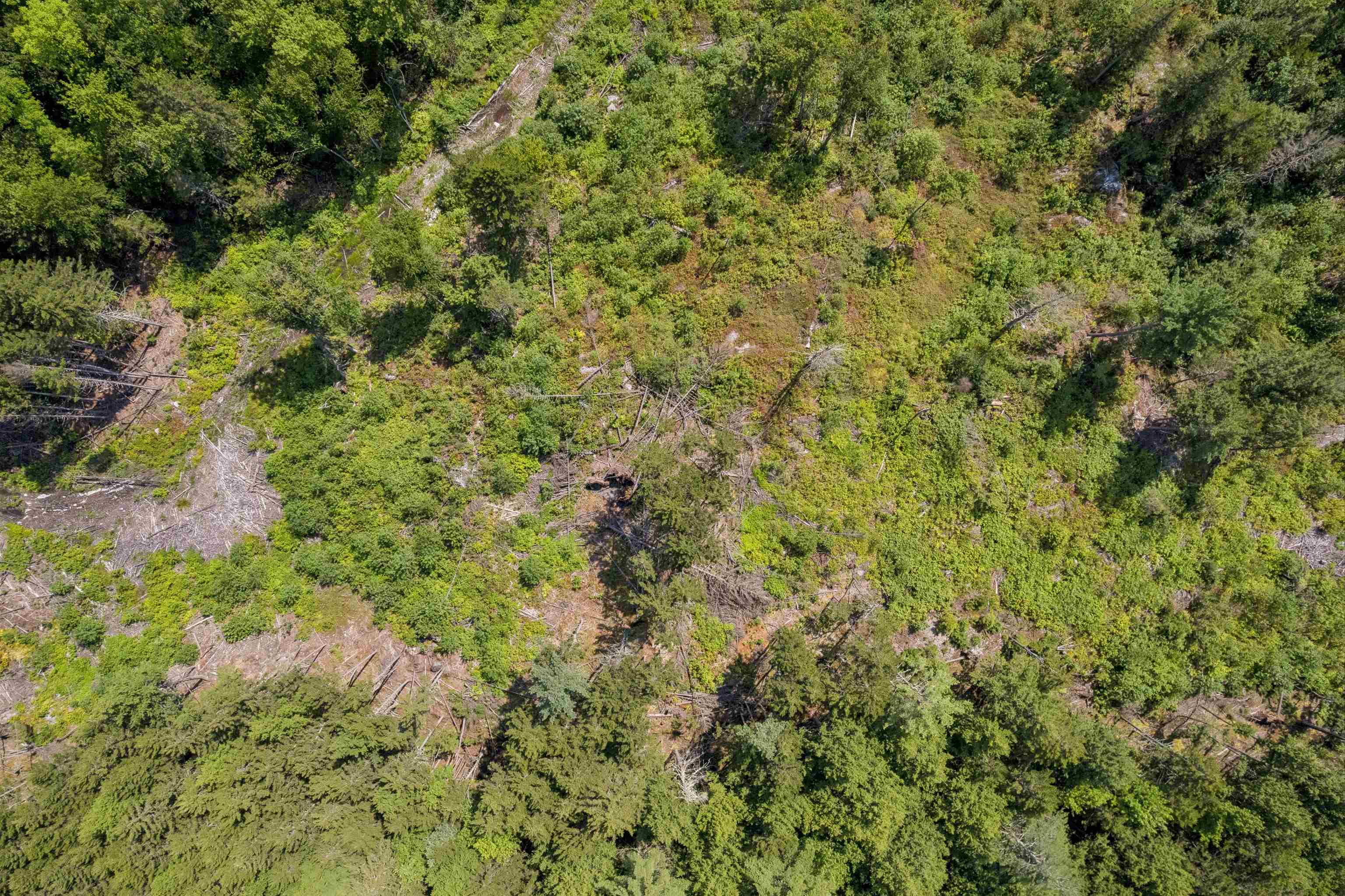 0 Handly Road Property Photo 2