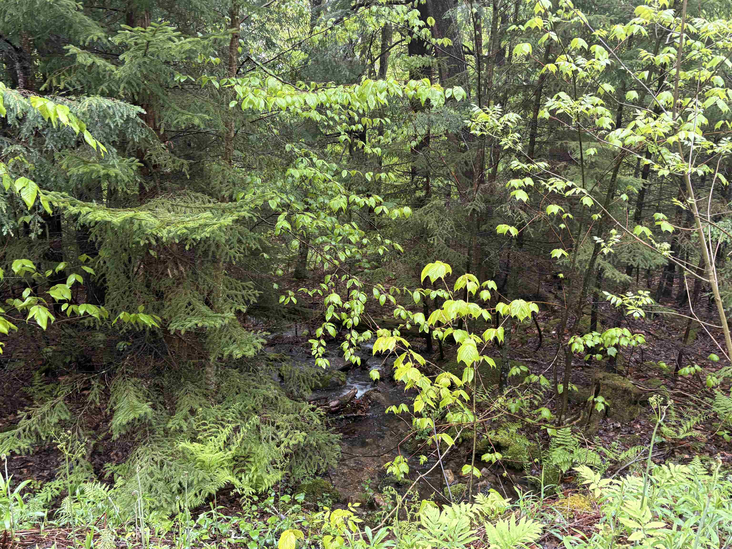 0 Bergrucken Lane Property Photo 2