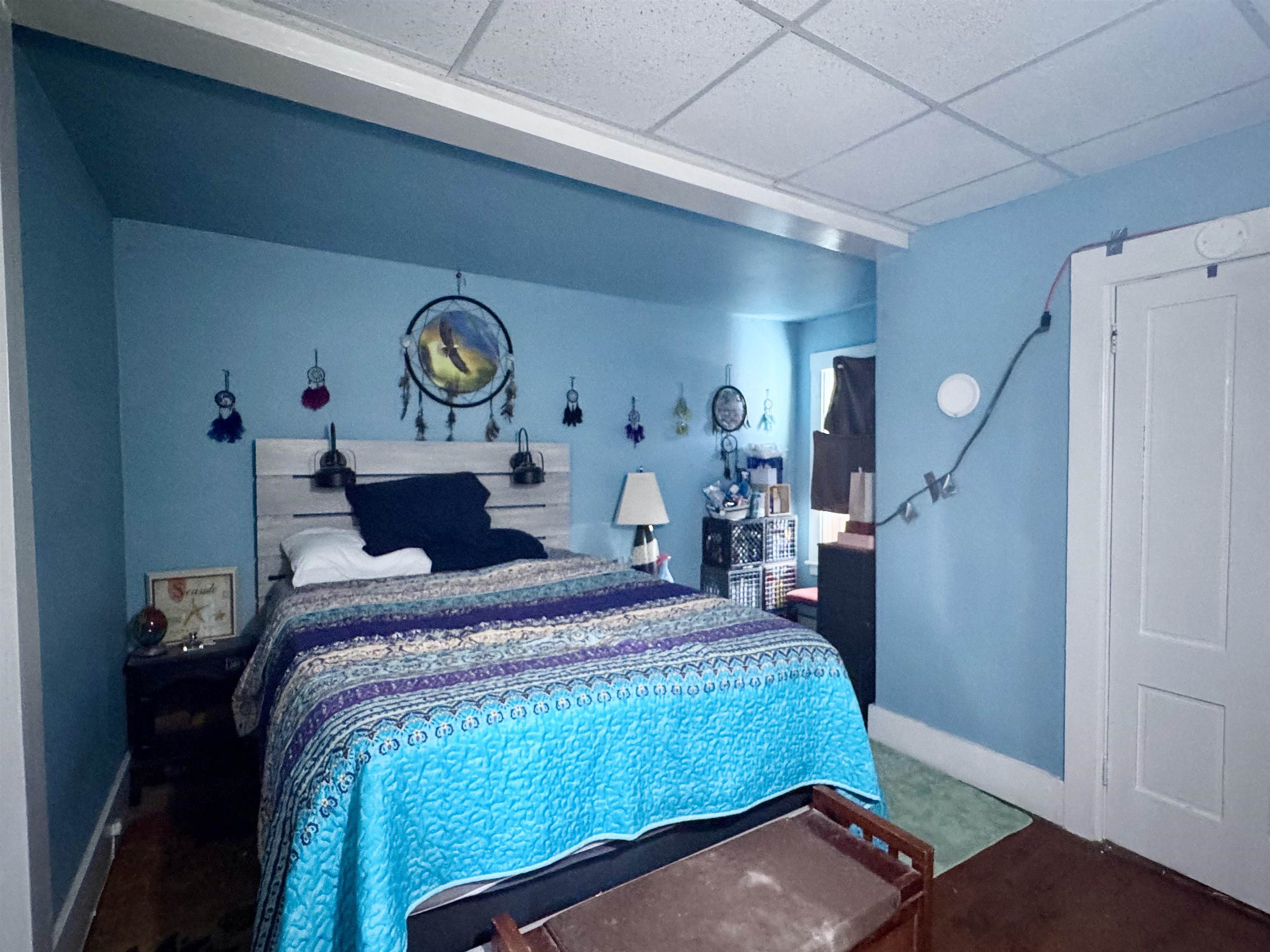 56 Atkinson Street Property Photo 26