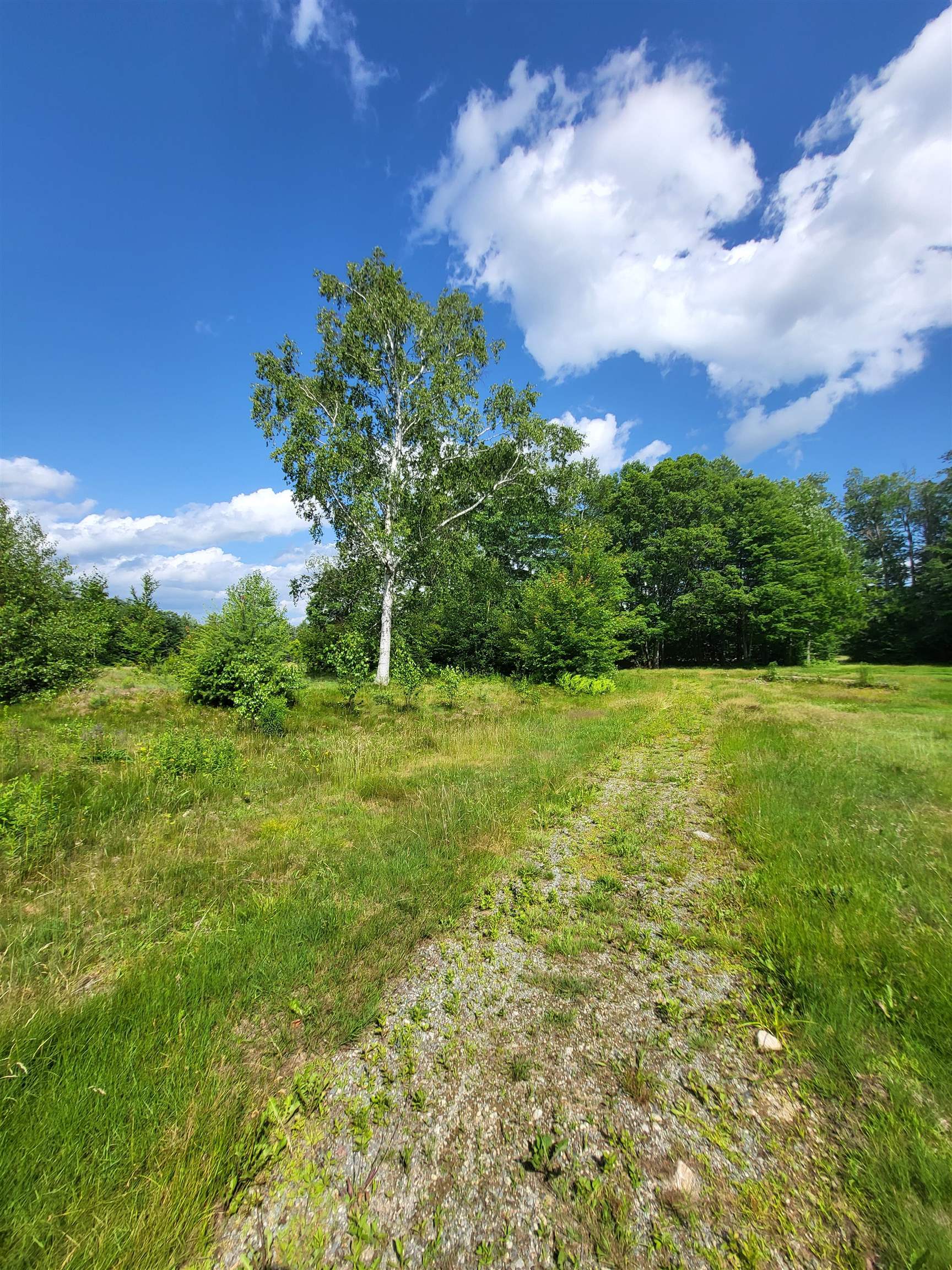 Tbd Prospect Street Property Photo 3