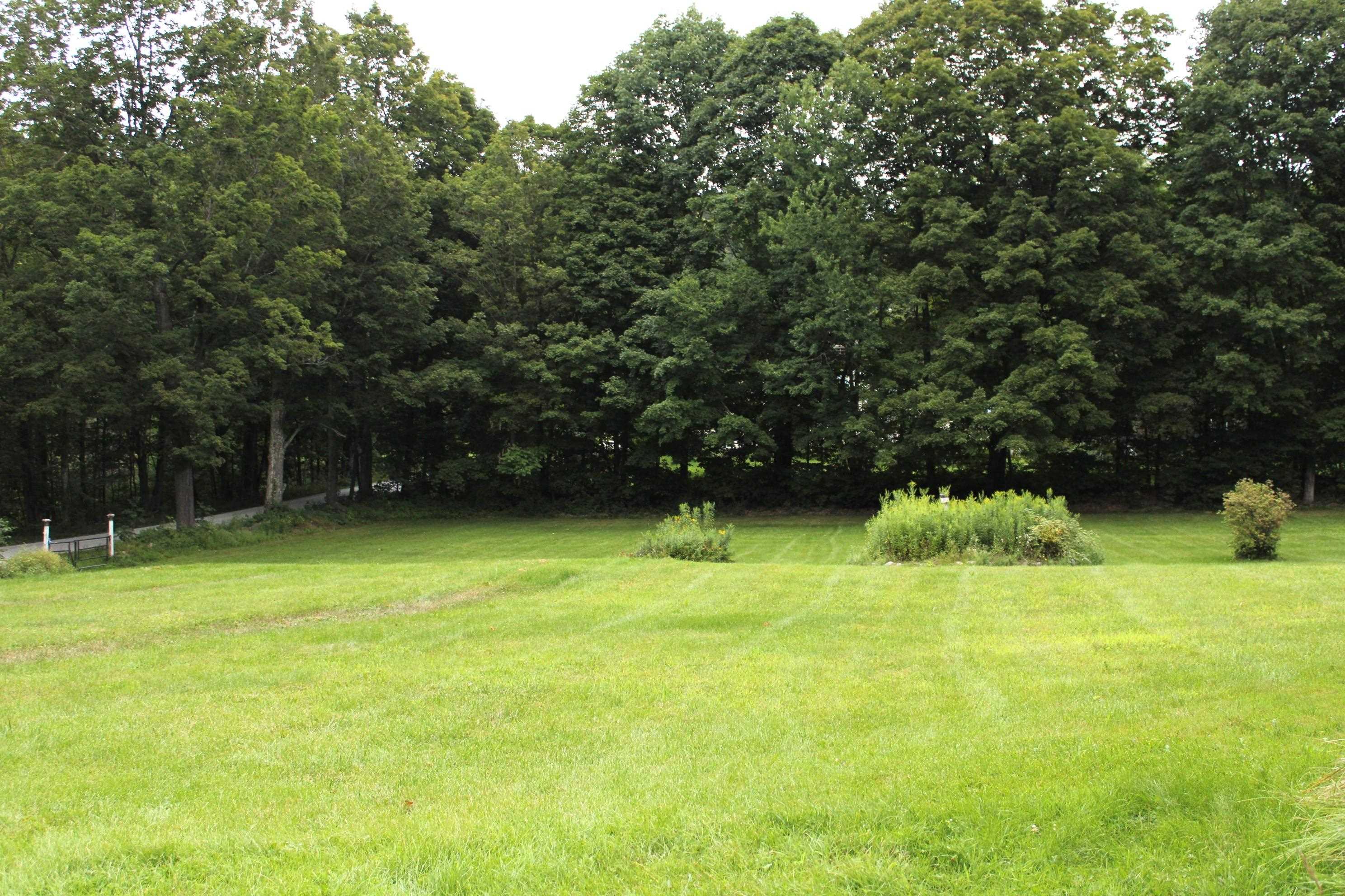 126 Tinmouth Pond Road Property Photo 6