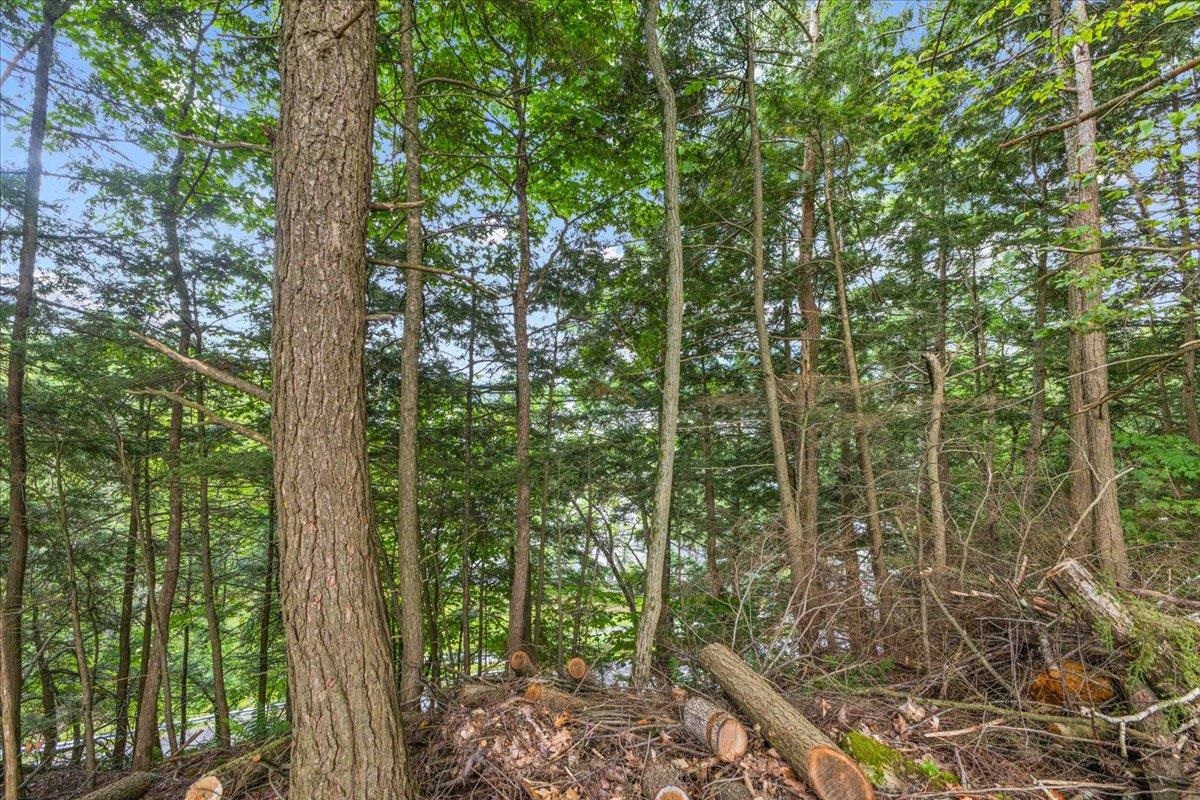 Lot 1 Oakledge Way Property Photo 23