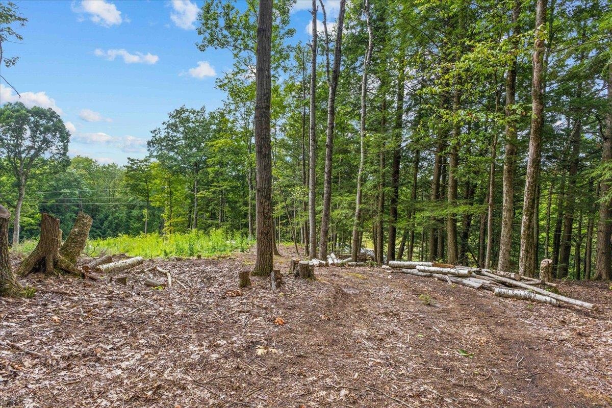 Lot 1 Oakledge Way Property Photo 28