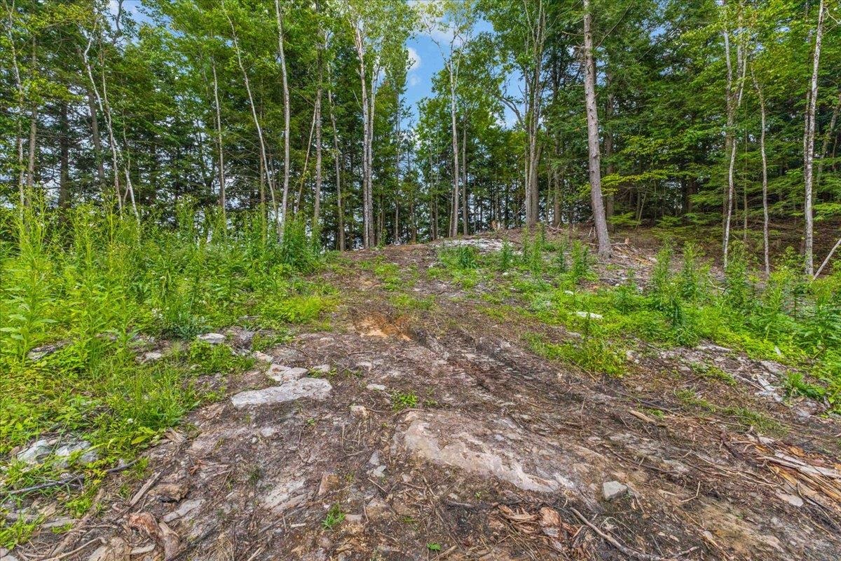 Lot 2 Oakledge Way Property Photo 20