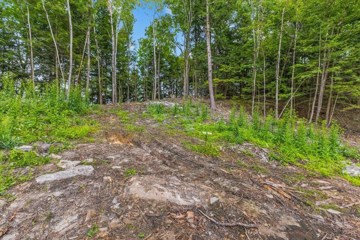 Lot 2 Oakledge Way Property Photo 21