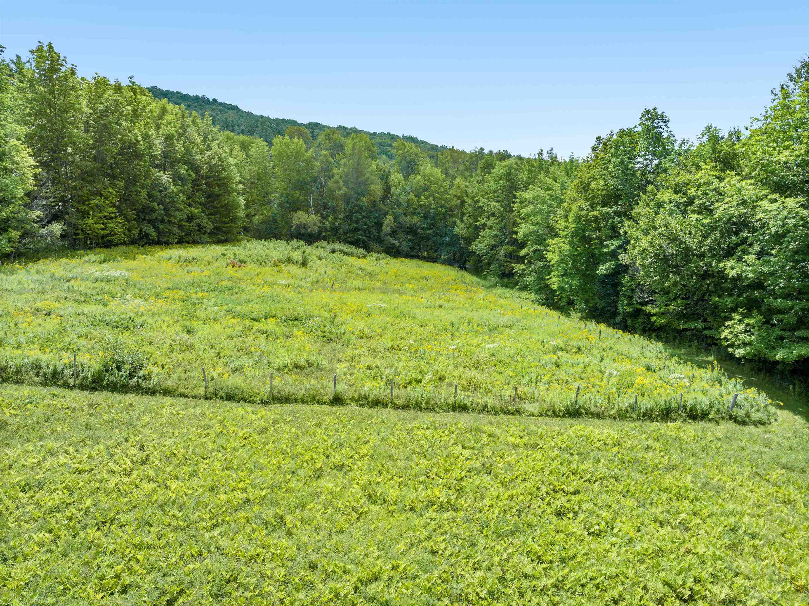 520 Collar Hill Road Property Photo 58