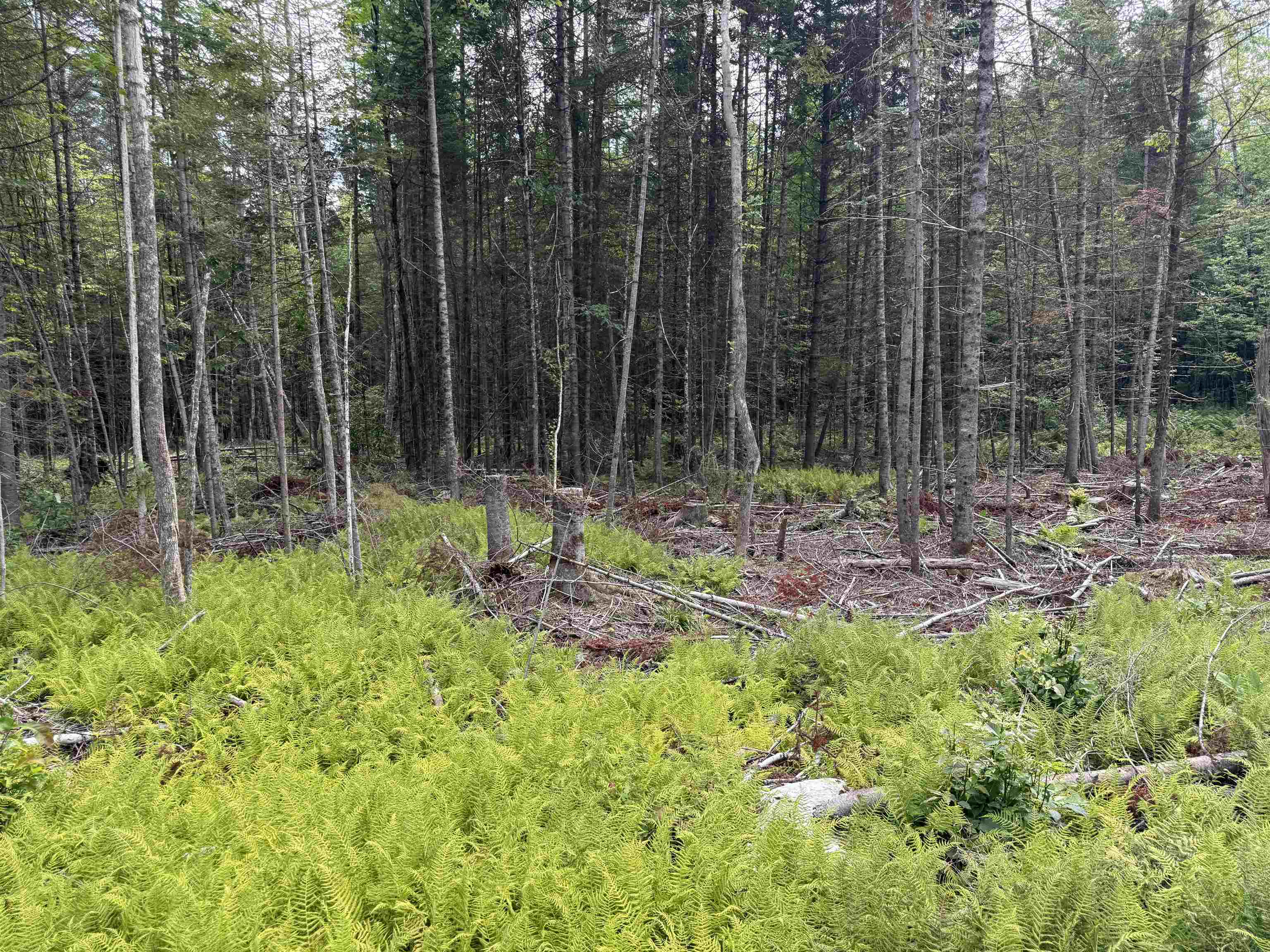 Lot 58 Pond Hill Road Property Photo 7