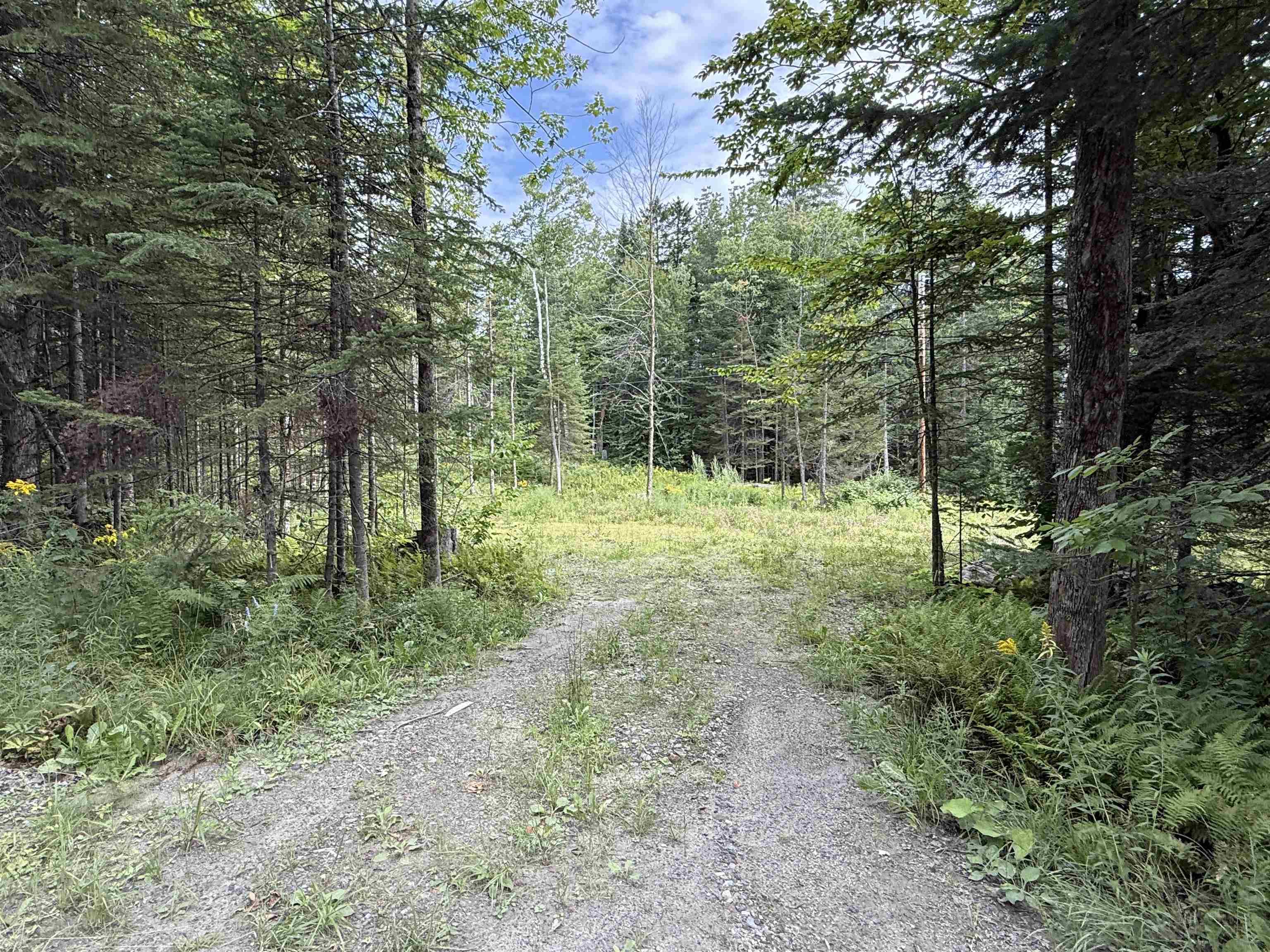 Lot 58 Pond Hill Road Property Photo 10