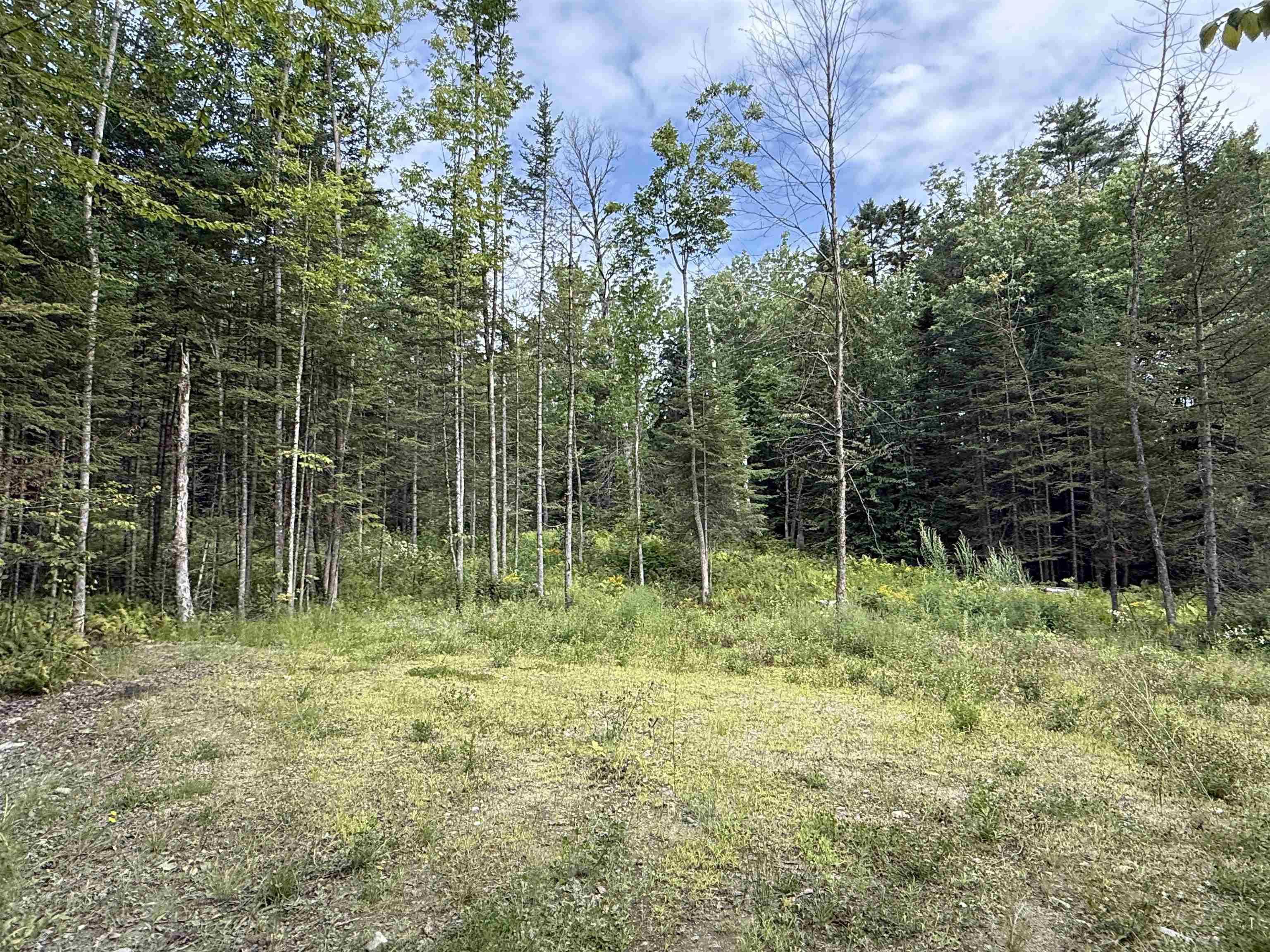 Lot 58 Pond Hill Road Property Photo 11