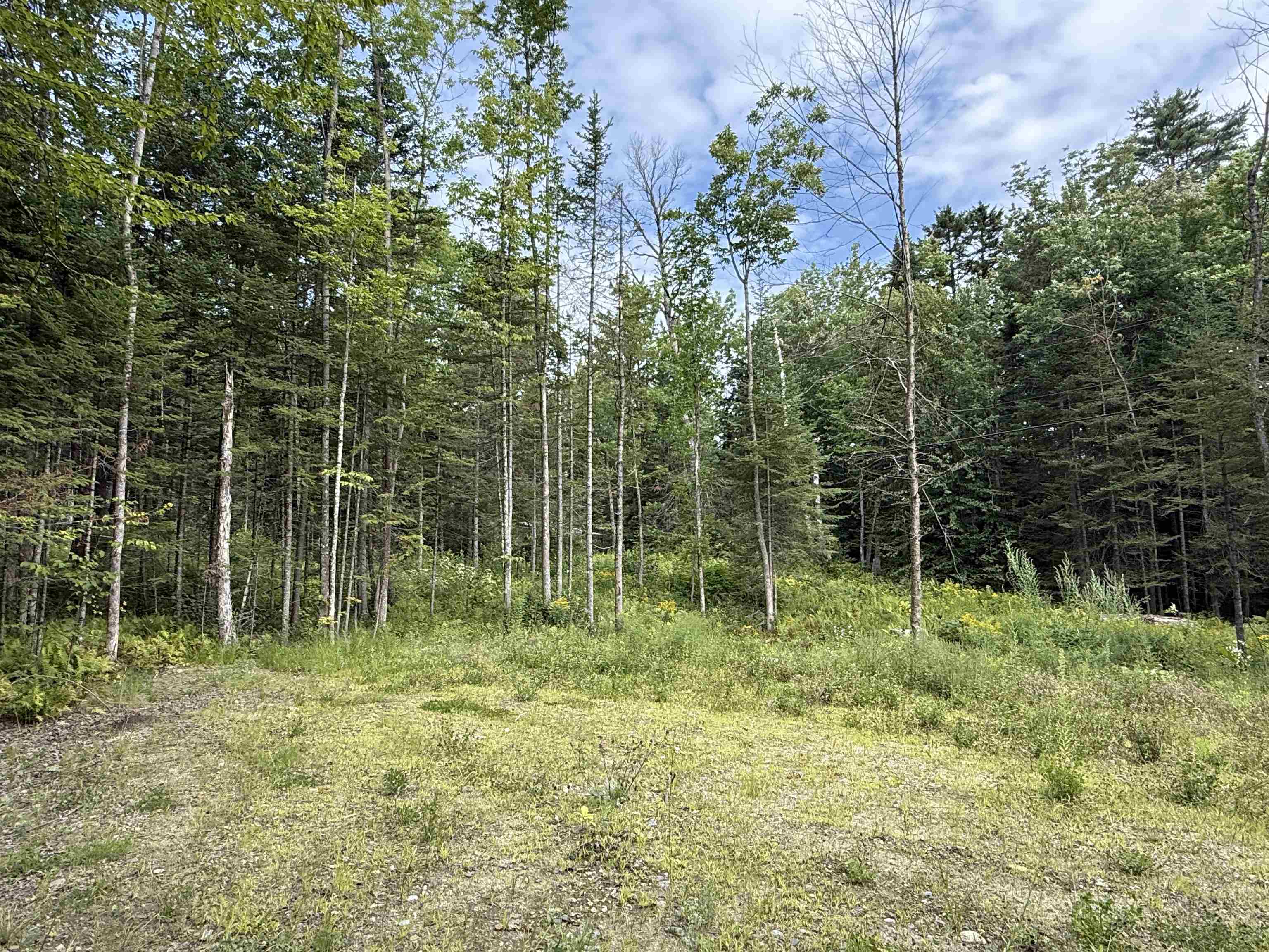 Lot 58 Pond Hill Road Property Photo 12