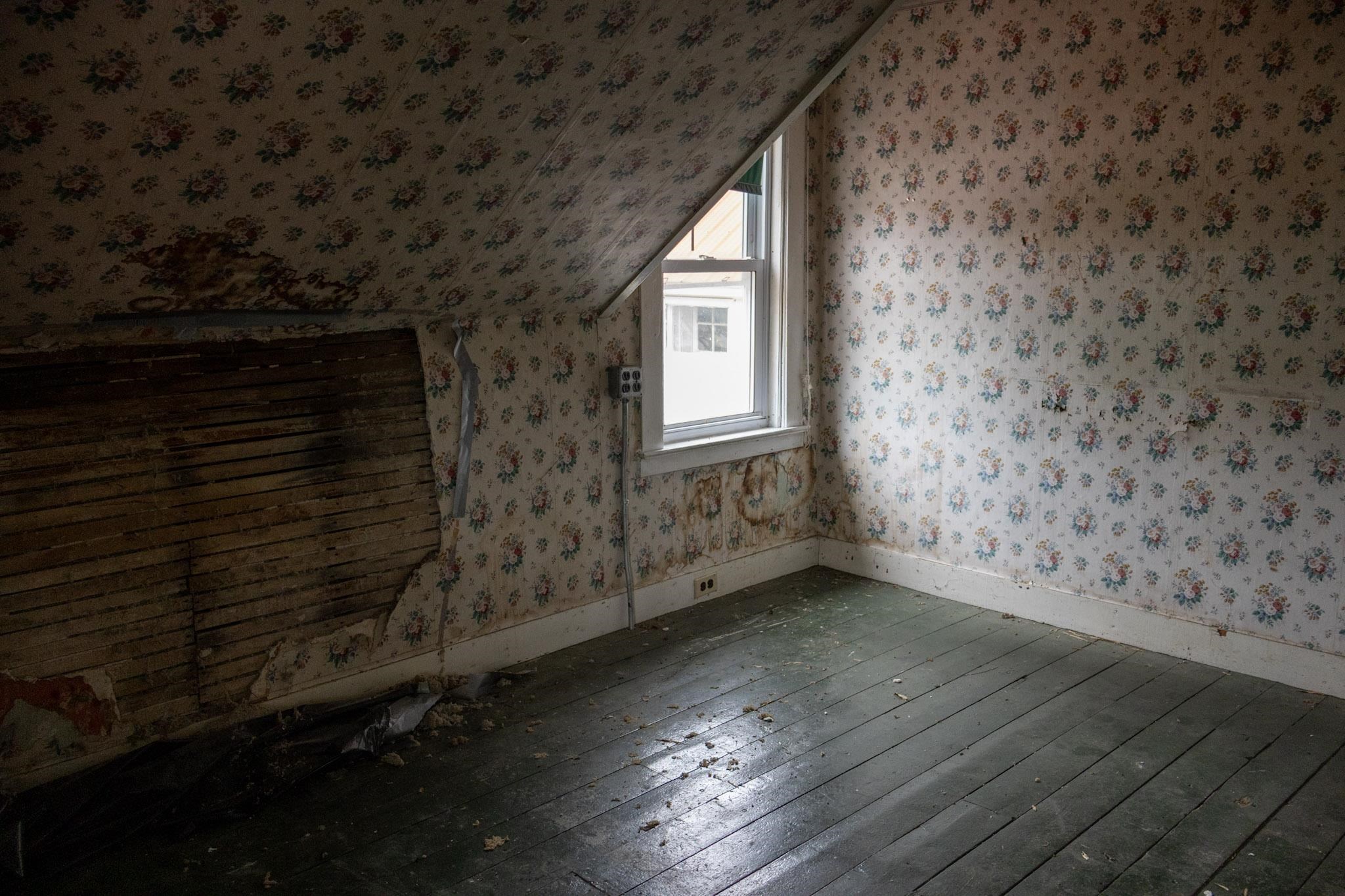 64 Lamkin Street Property Photo 41