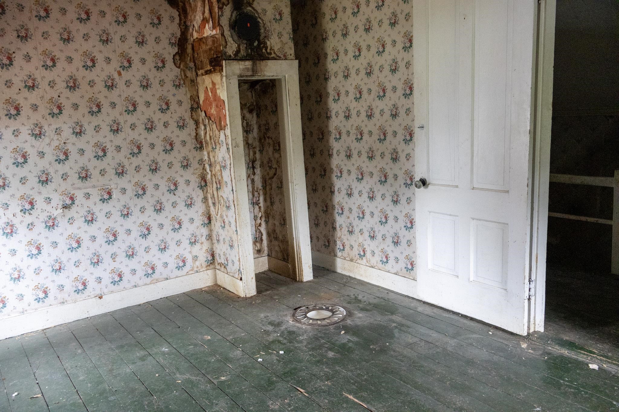 64 Lamkin Street Property Photo 42