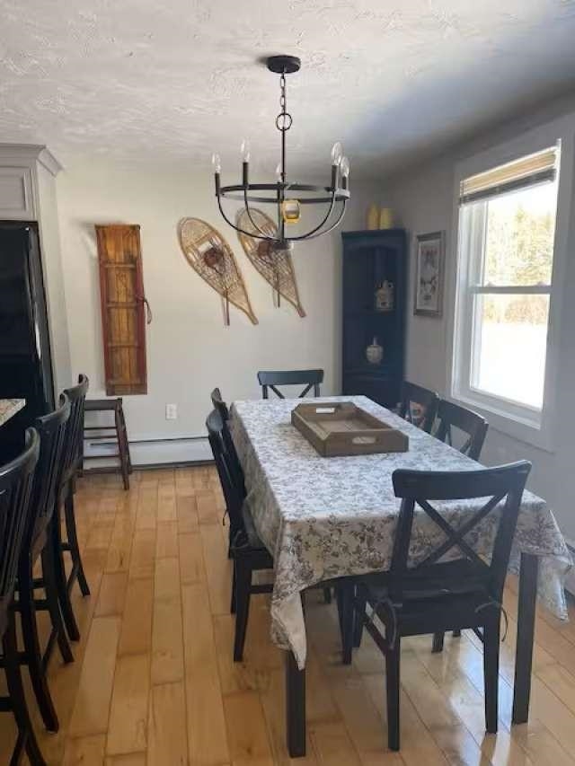 16b Bromley Knolls Road Property Photo 10