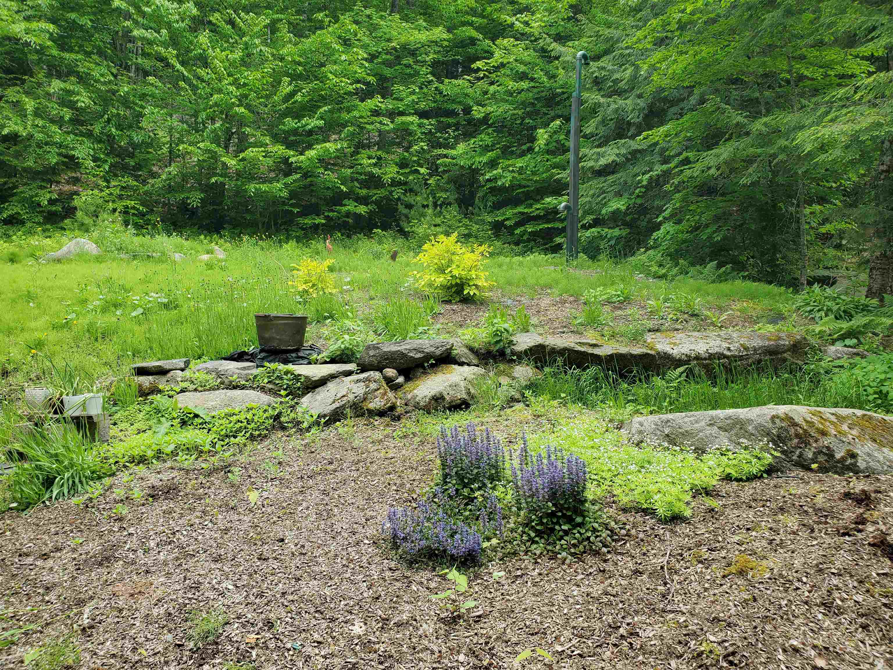 1046 Goose Pond Road Property Photo 30
