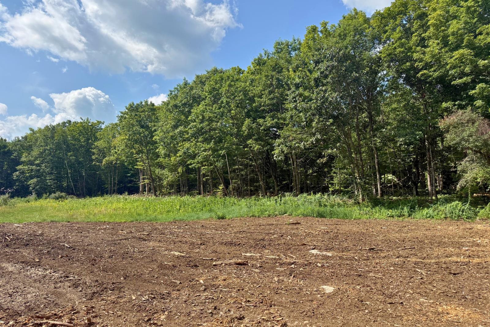Lot 9-1 Roxbury Road Property Photo 1