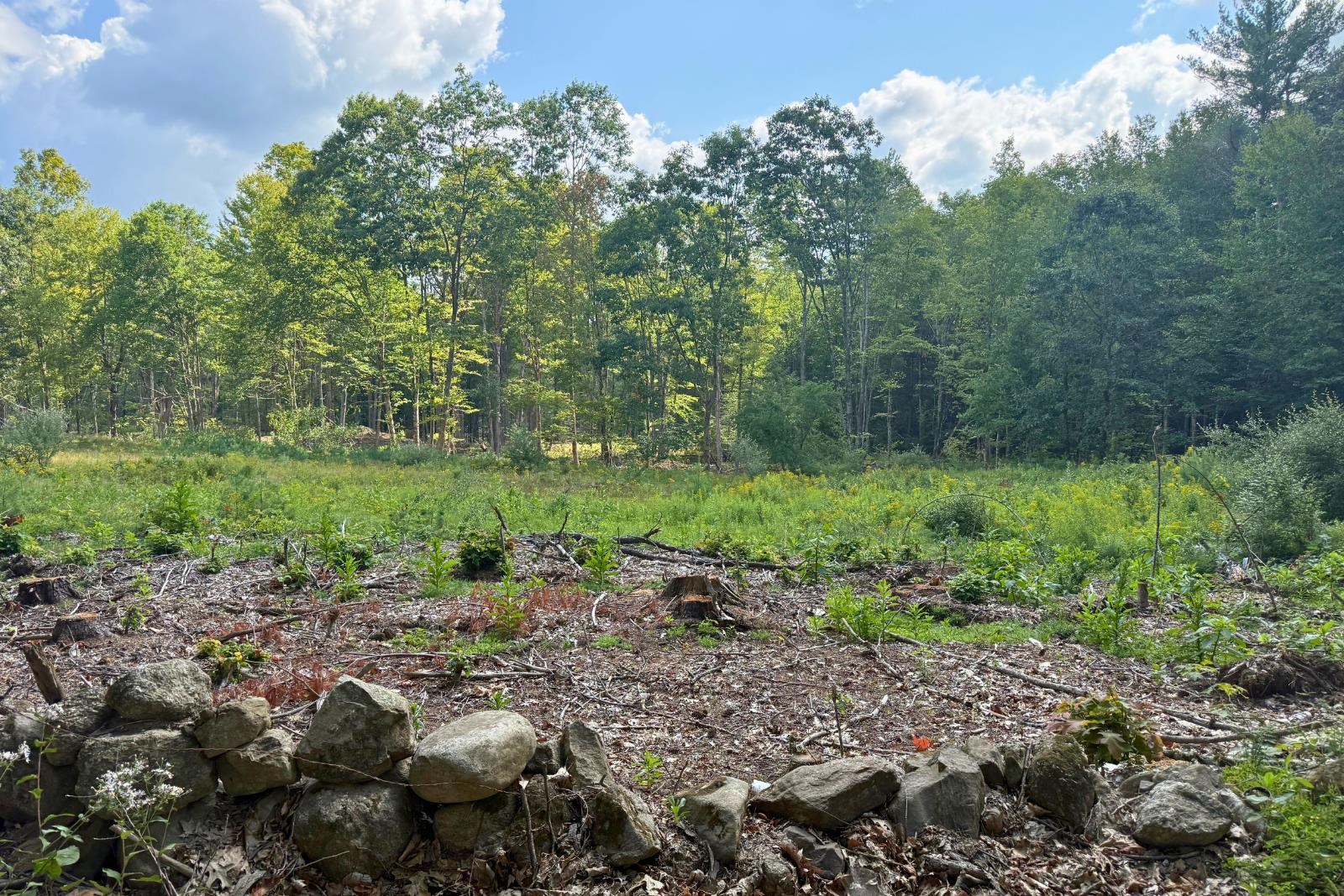 Lot 9-2 Roxbury Road Property Photo 1