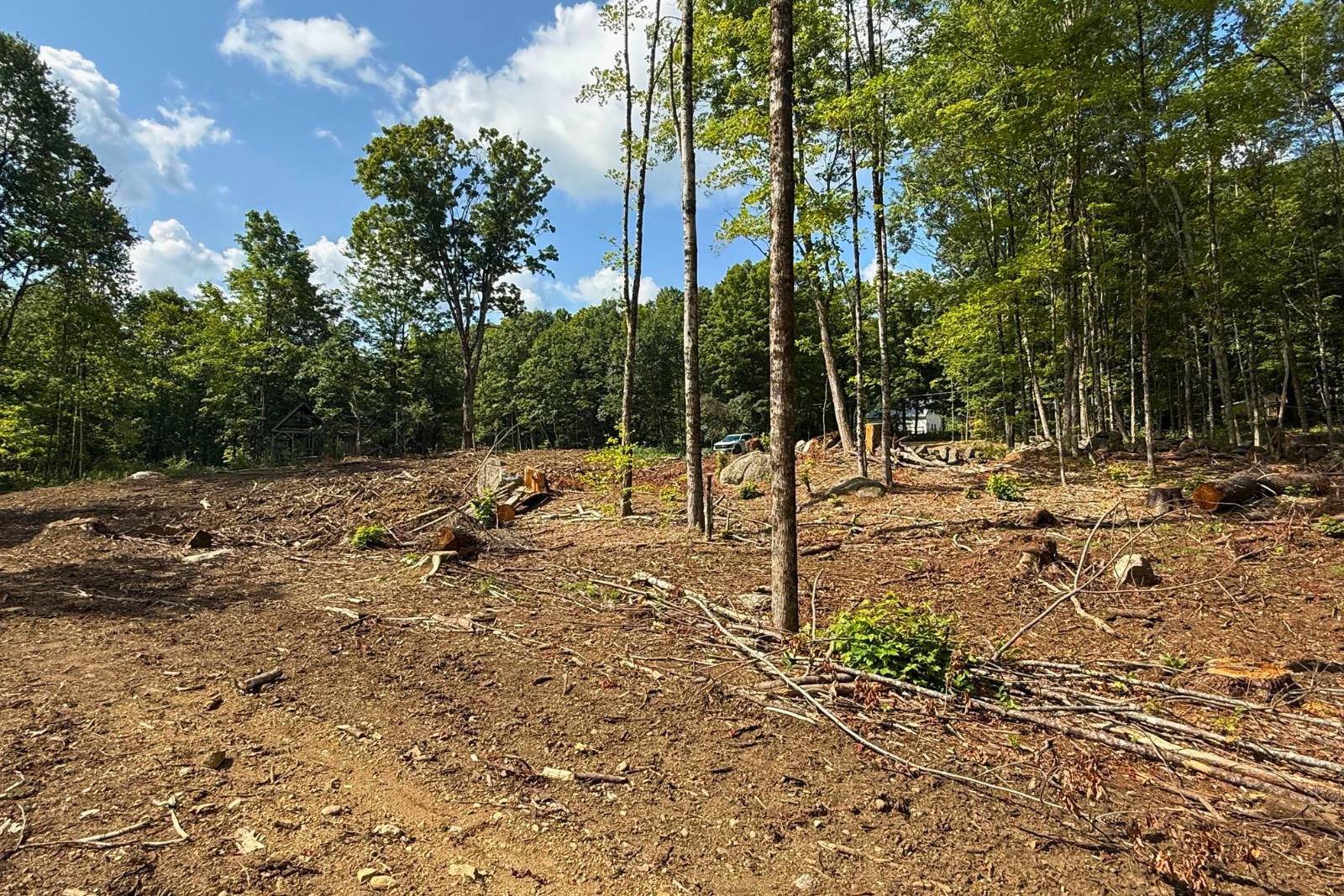 Lot 9-3 Roxbury Road Property Photo 1