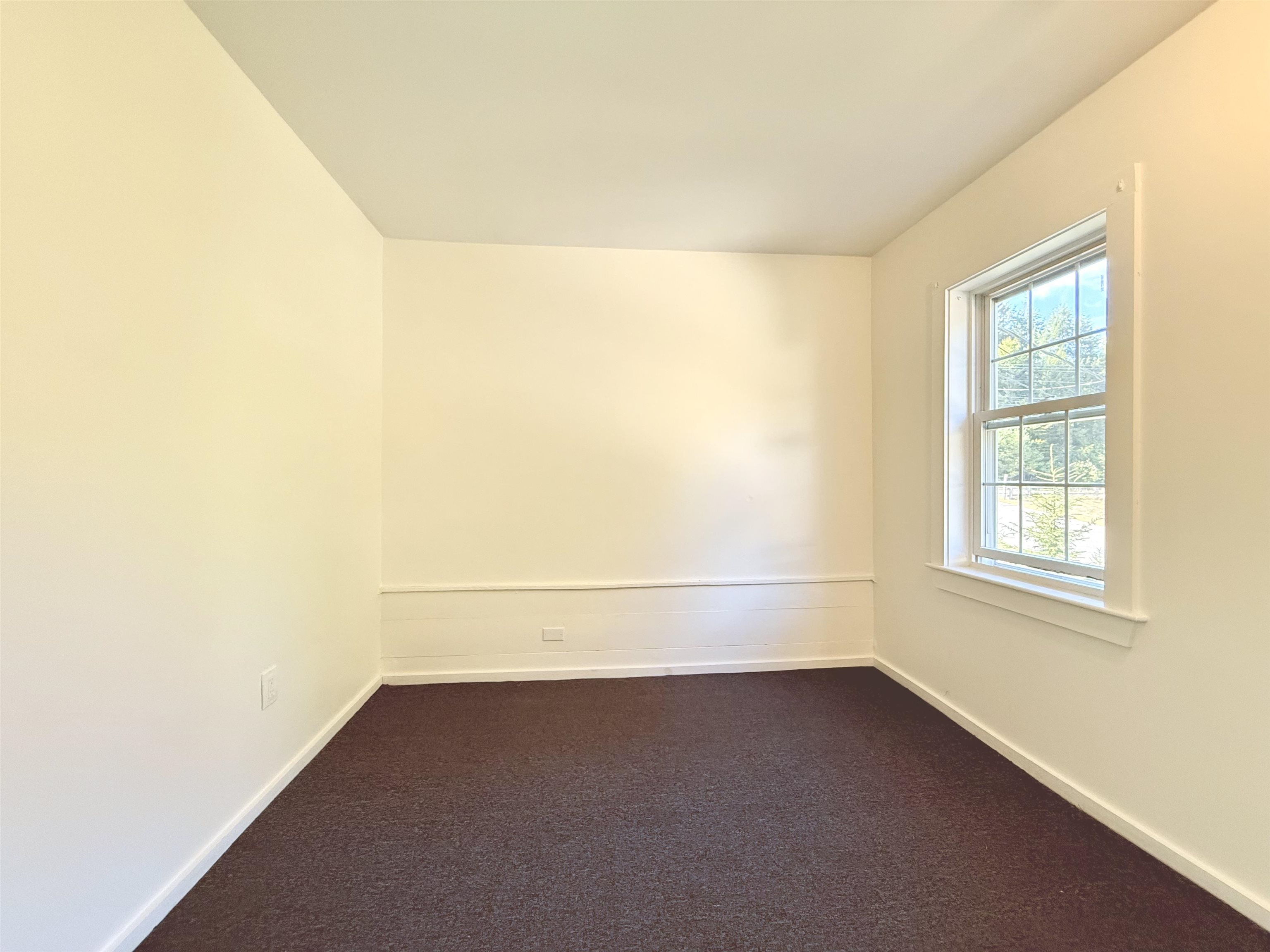 503 Tamworth Road Property Photo 17