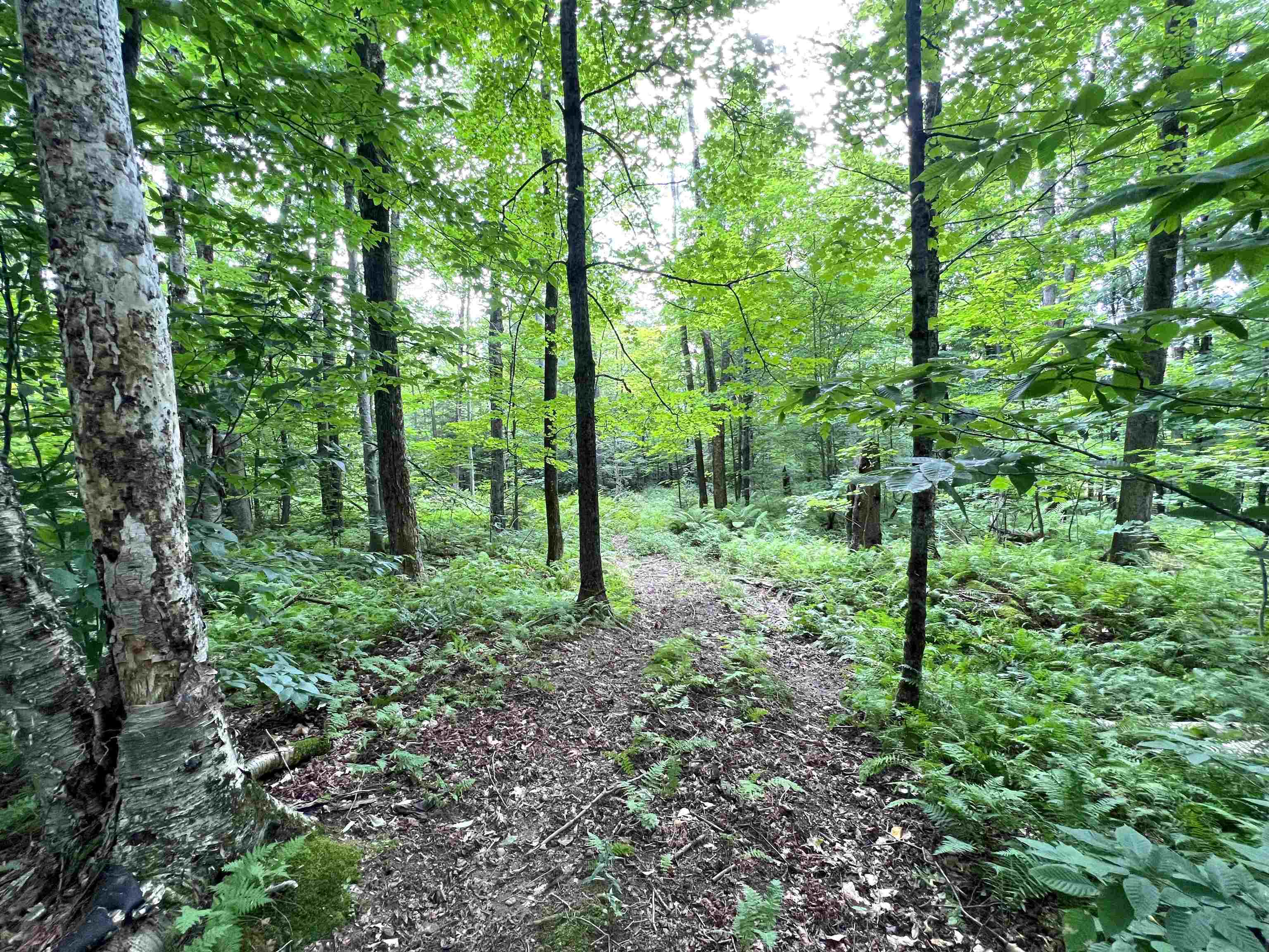854 West Woodbury Road Property Photo 42