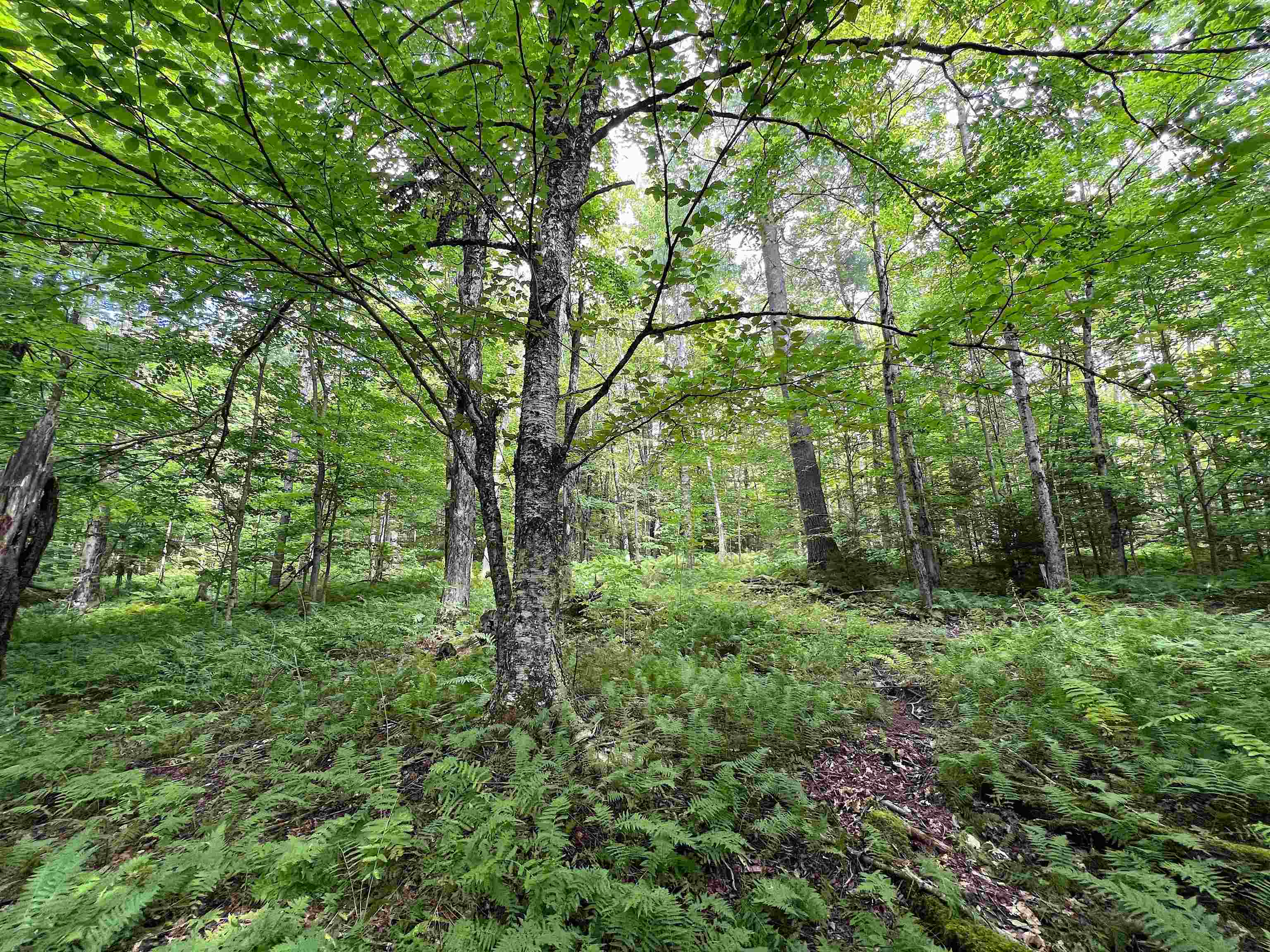 854 West Woodbury Road Property Photo 44