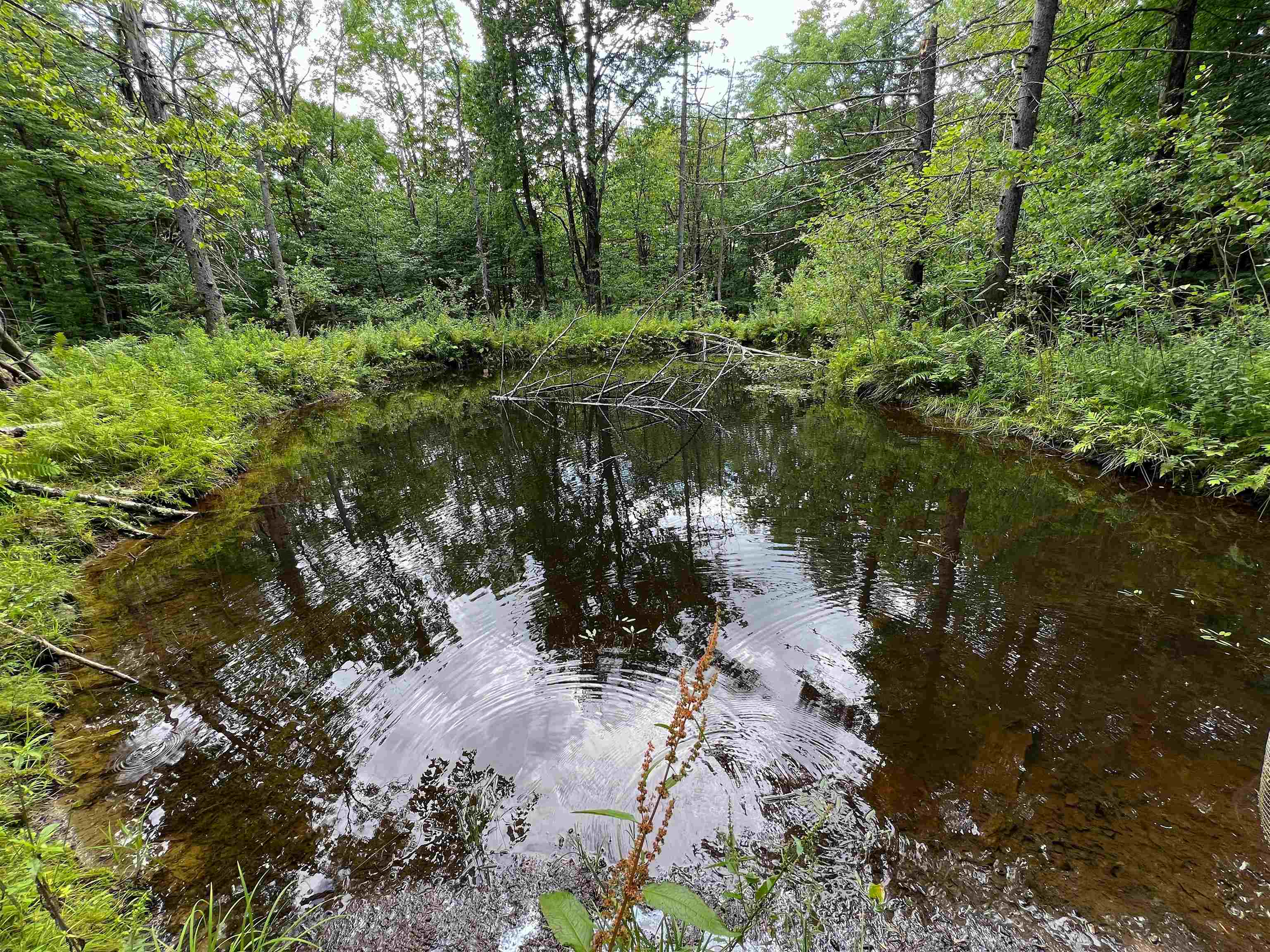 854 West Woodbury Road Property Photo 45