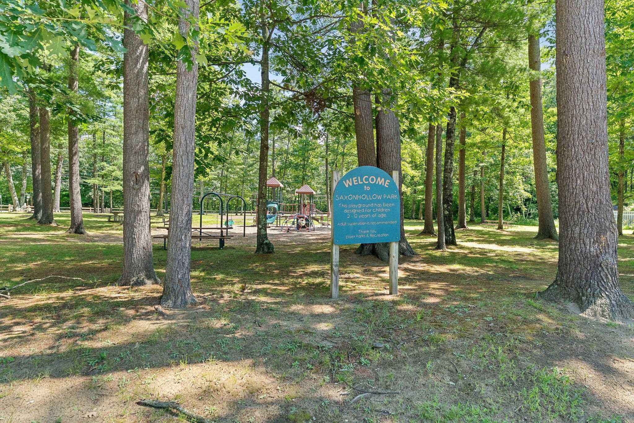 7 Saxonhollow Drive Property Photo 48