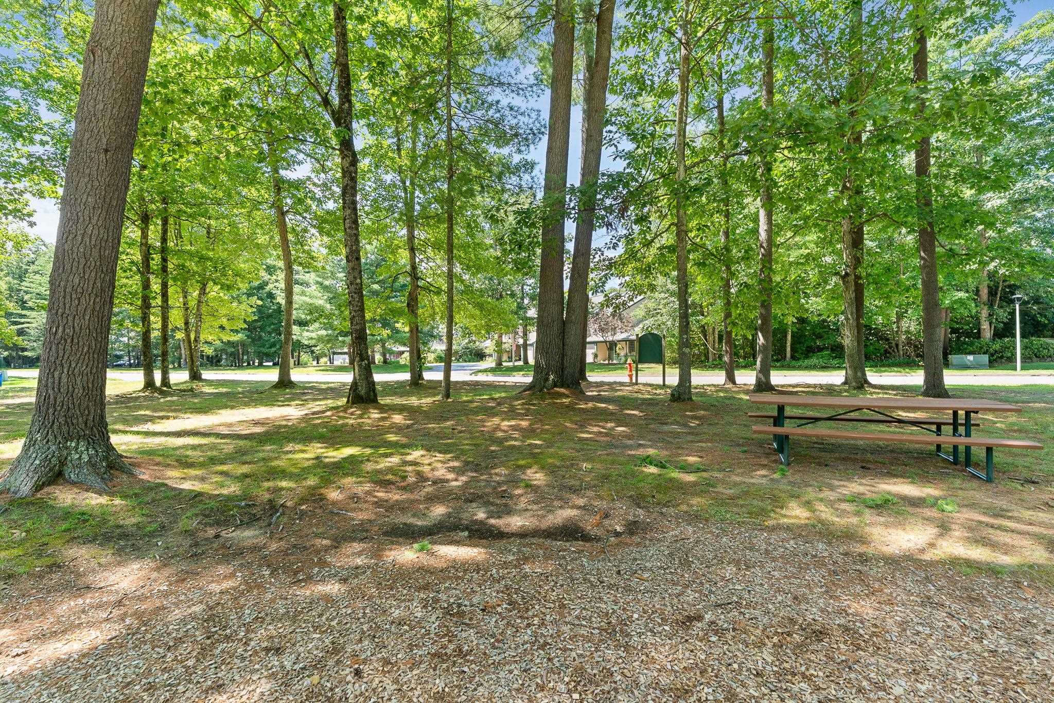 7 Saxonhollow Drive Property Photo 49
