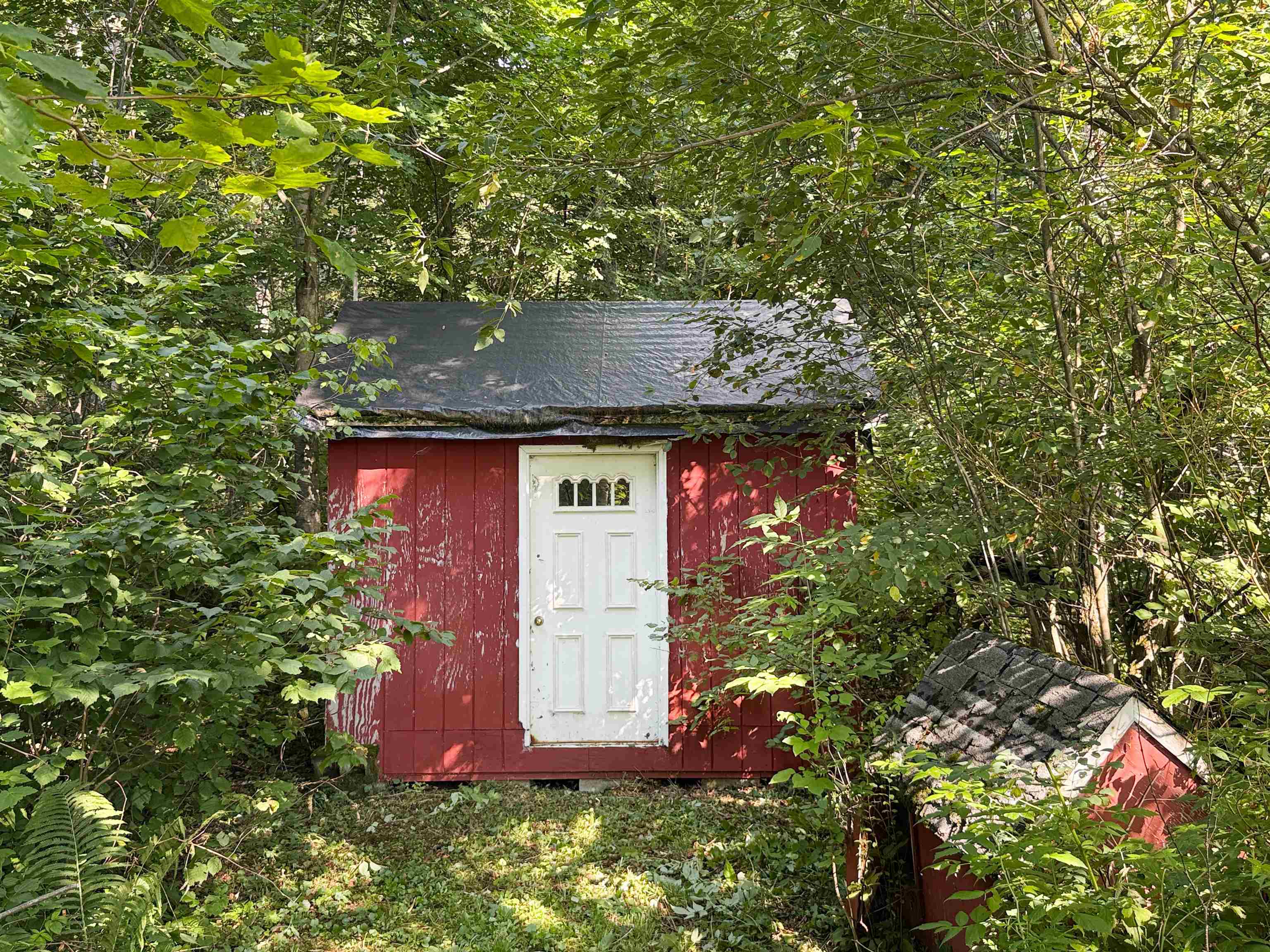 6225 River Rd Vt 102 Property Photo 34